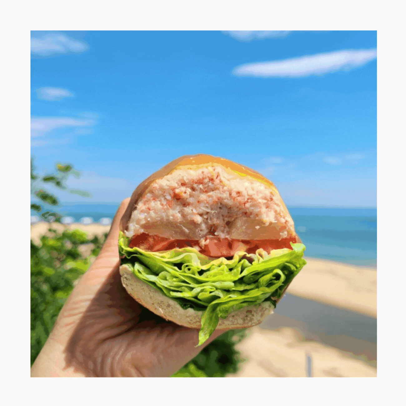 속초751샌드위치