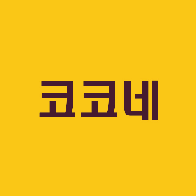 코코네 강원 애견맛집