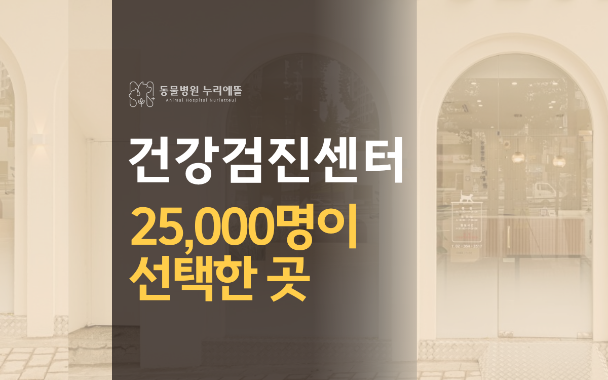동물병원 누리에뜰 대표 이미지