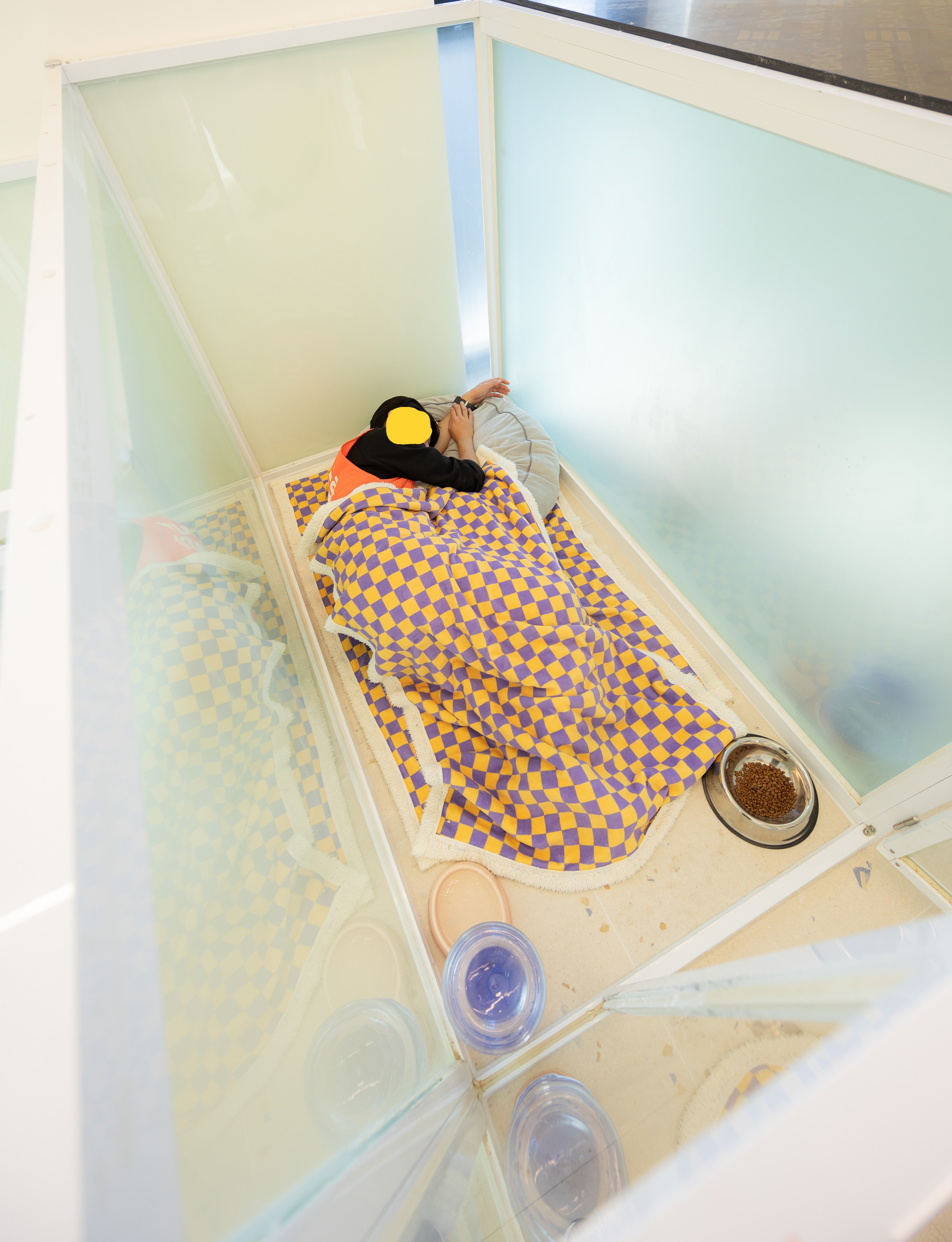 놀러오개 애견호텔 대표 이미지