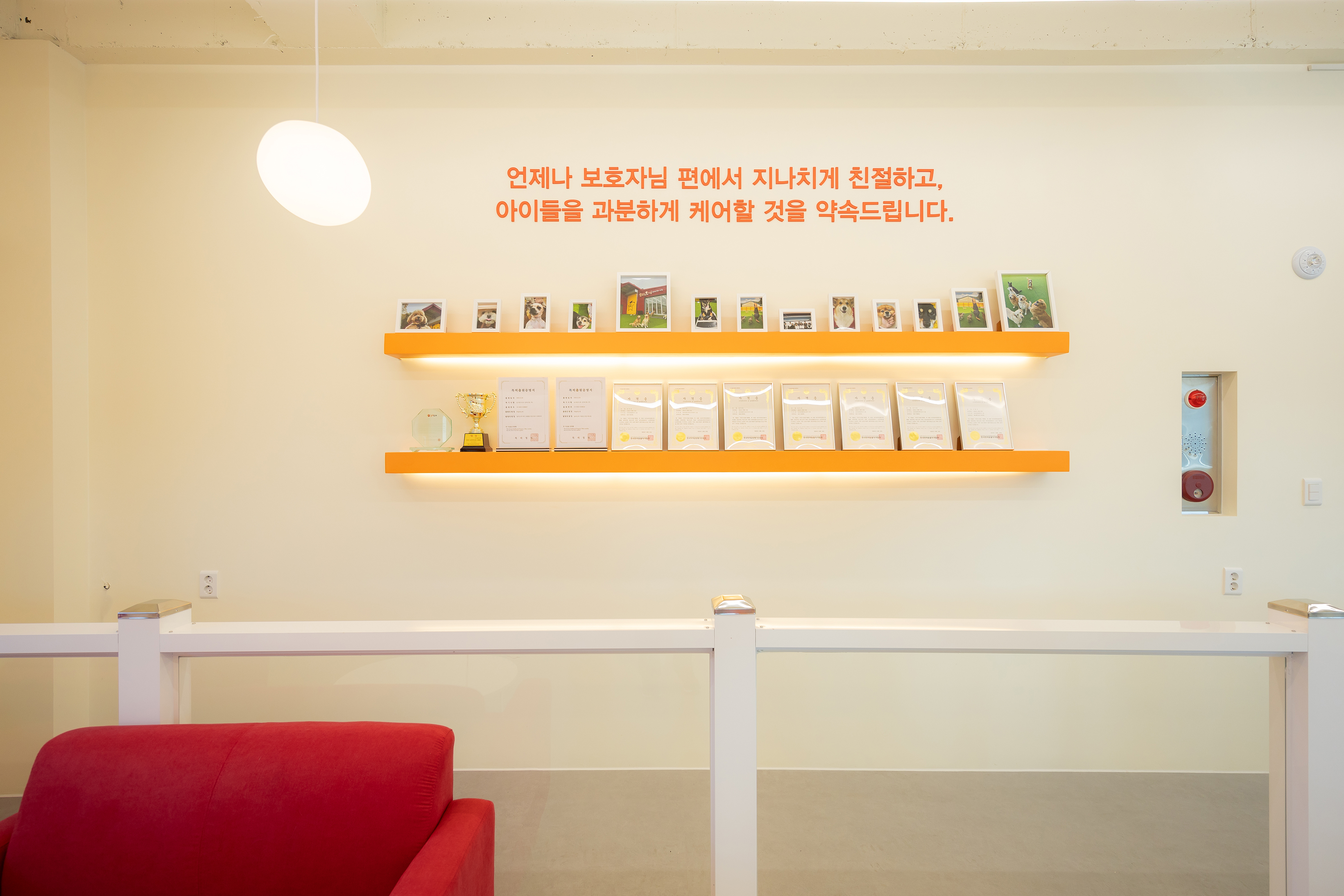 놀러오개 애견유치원 애견호텔 용산점 대표 이미지