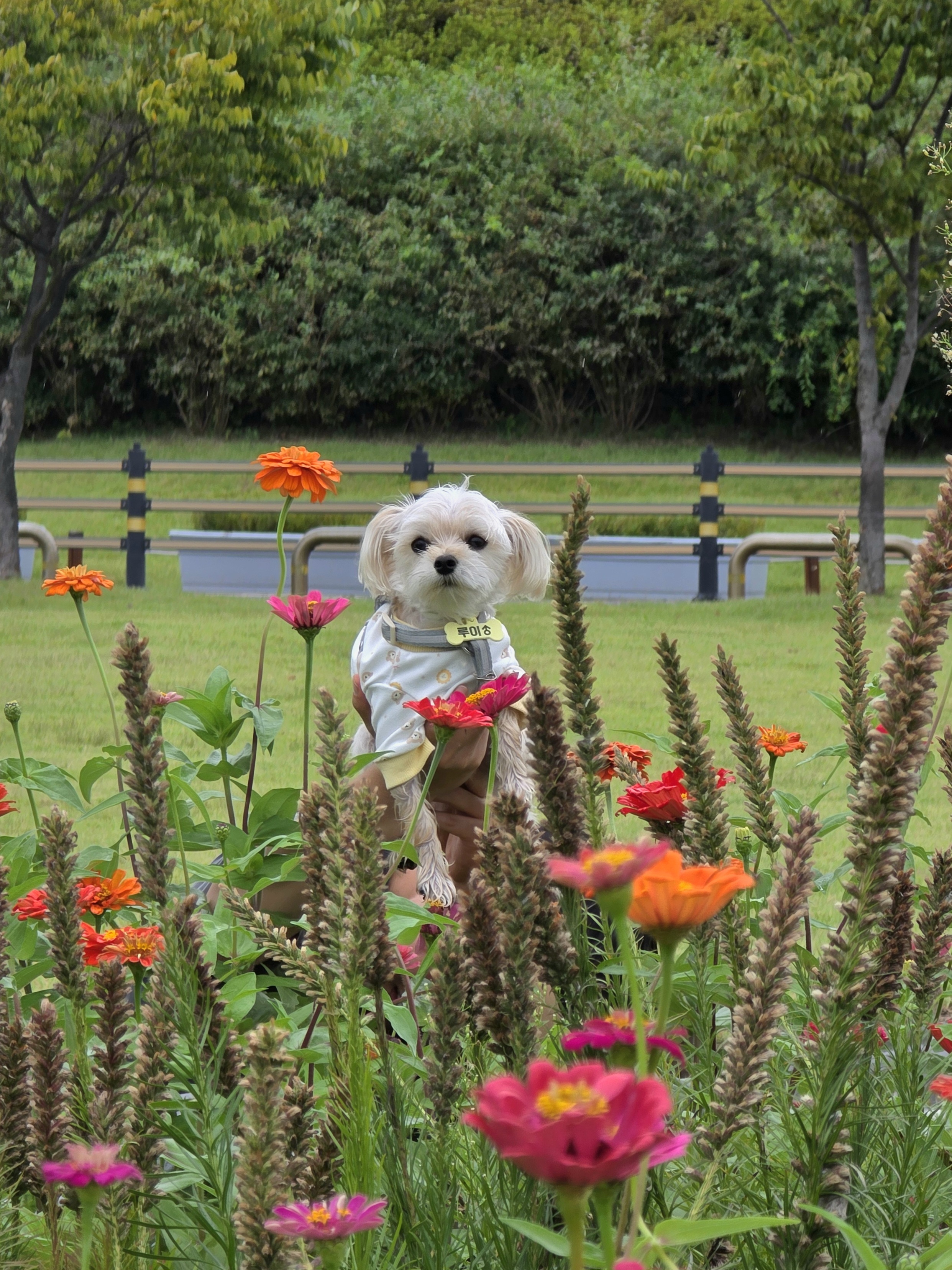 니멍내멍 대표 이미지