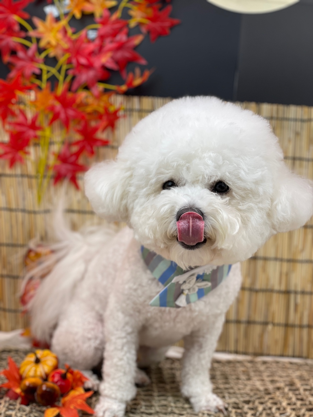 놀러오개 용산점 대표 이미지