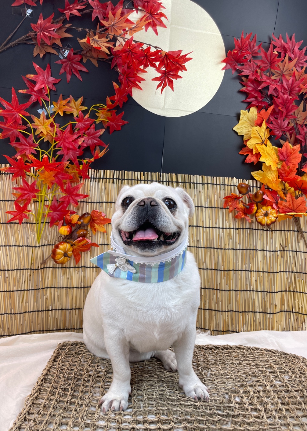 놀러오개 용산점 대표 이미지