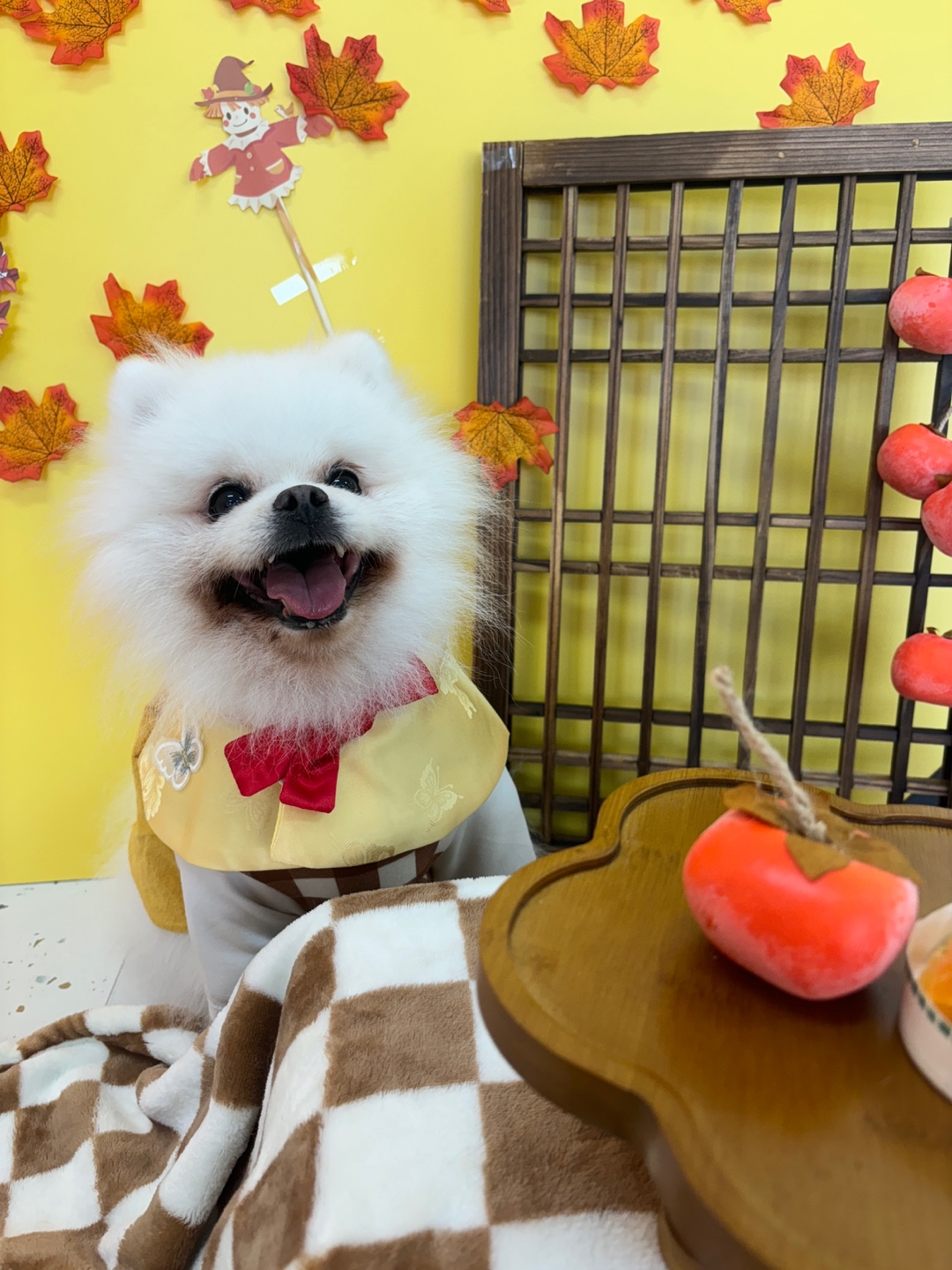 놀러오개 용산점 대표 이미지