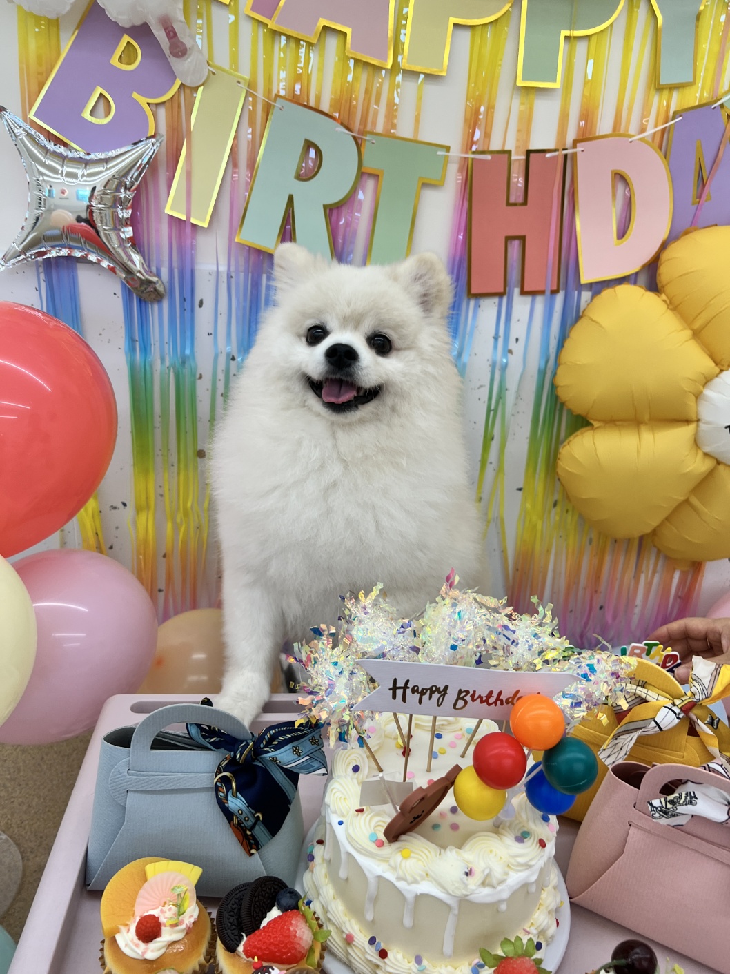 놀러오개 용산점 대표 이미지