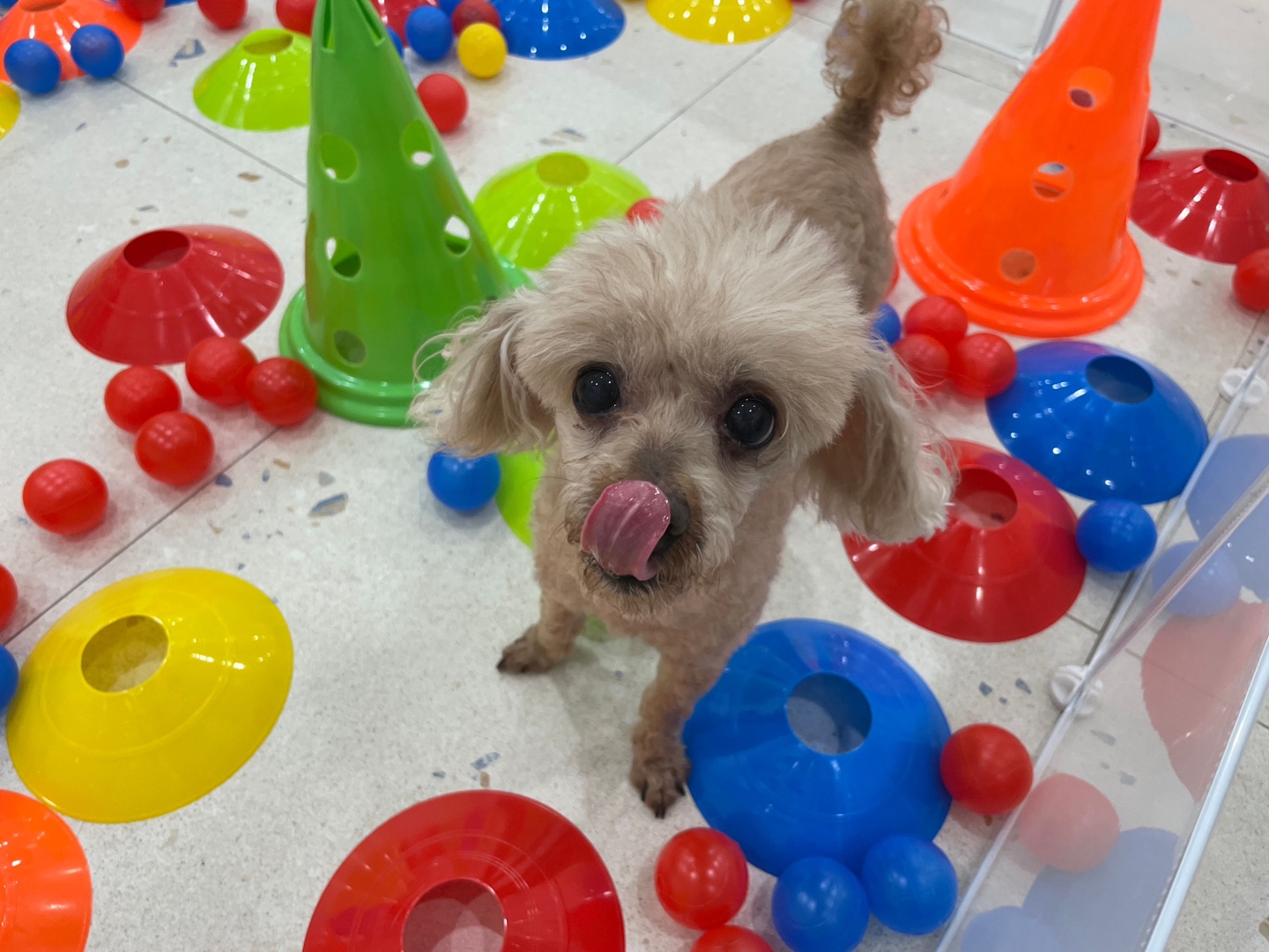 놀러오개 용산점 대표 이미지