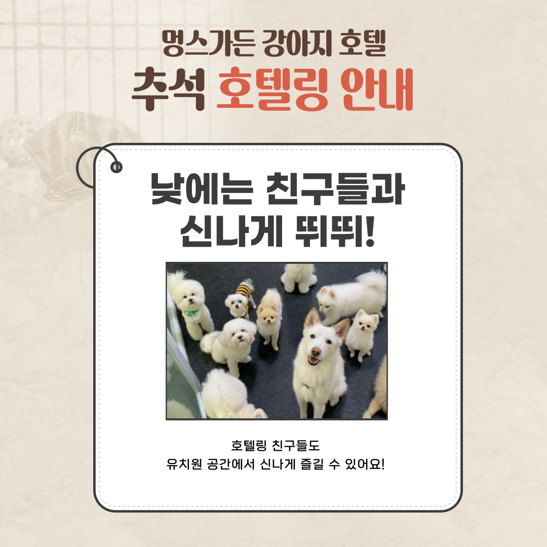 멍스가든 강아지유치원 애견호텔 대표 이미지