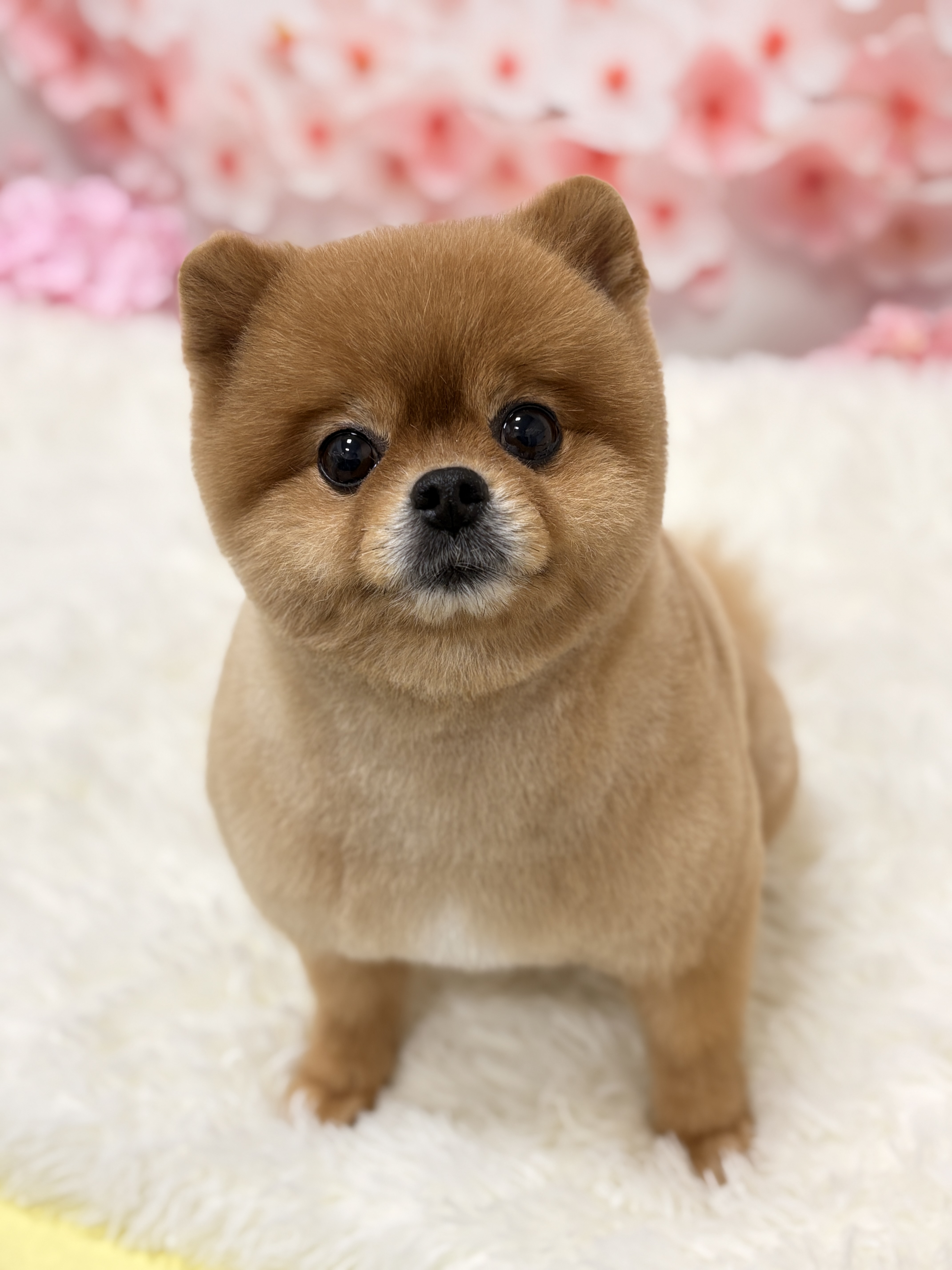 까까독 대표 이미지