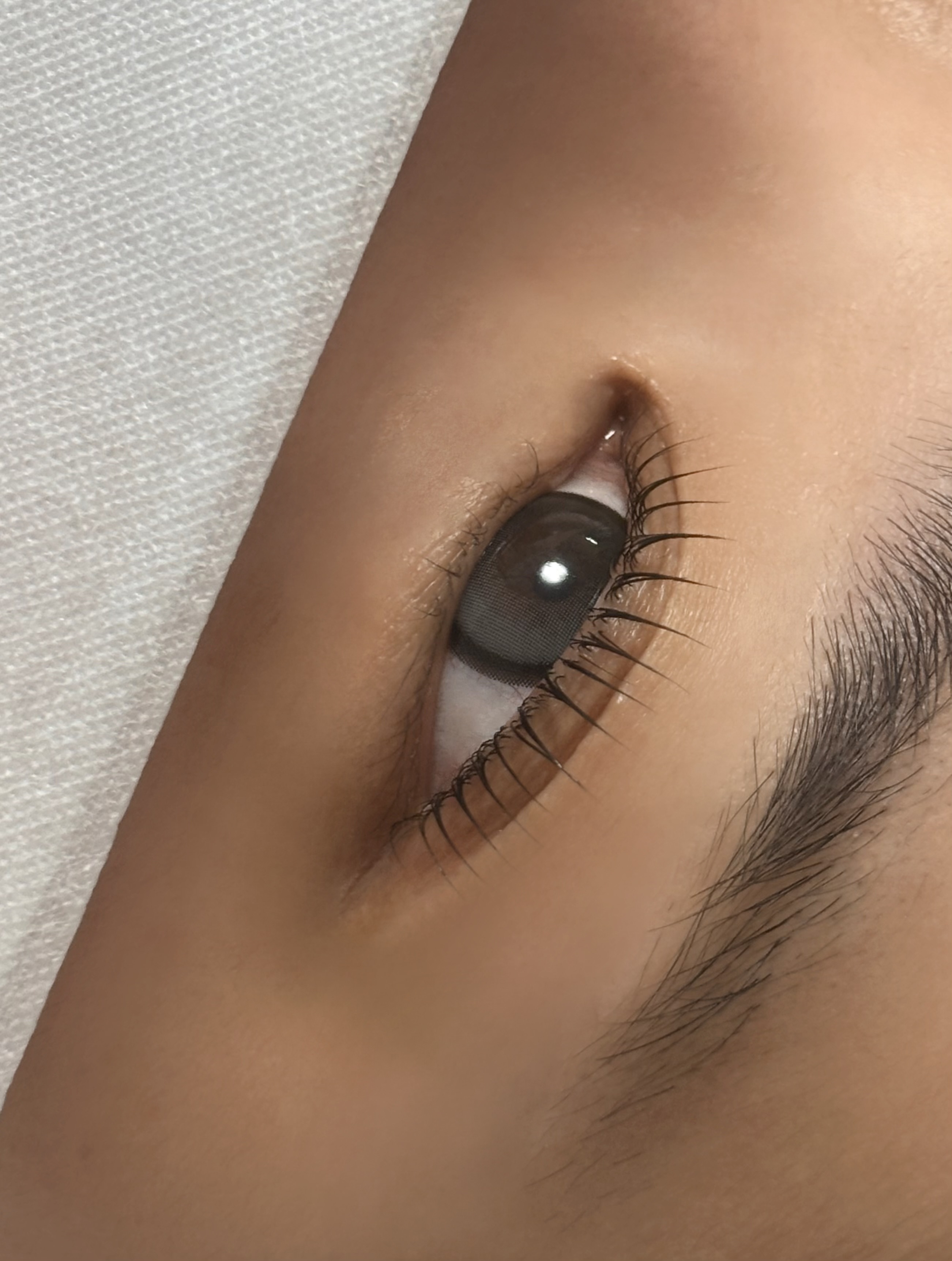 모아브로우 대표 이미지