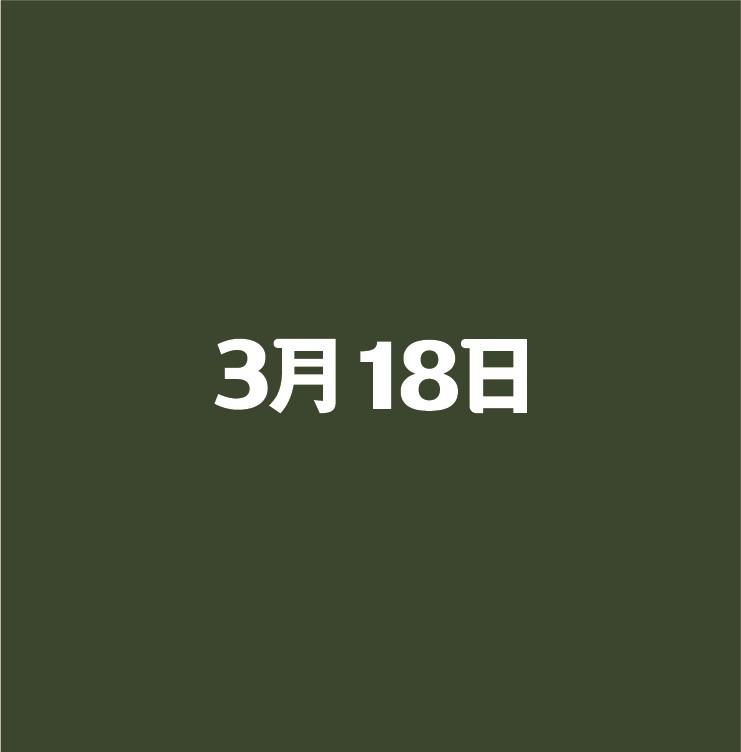 3월18일