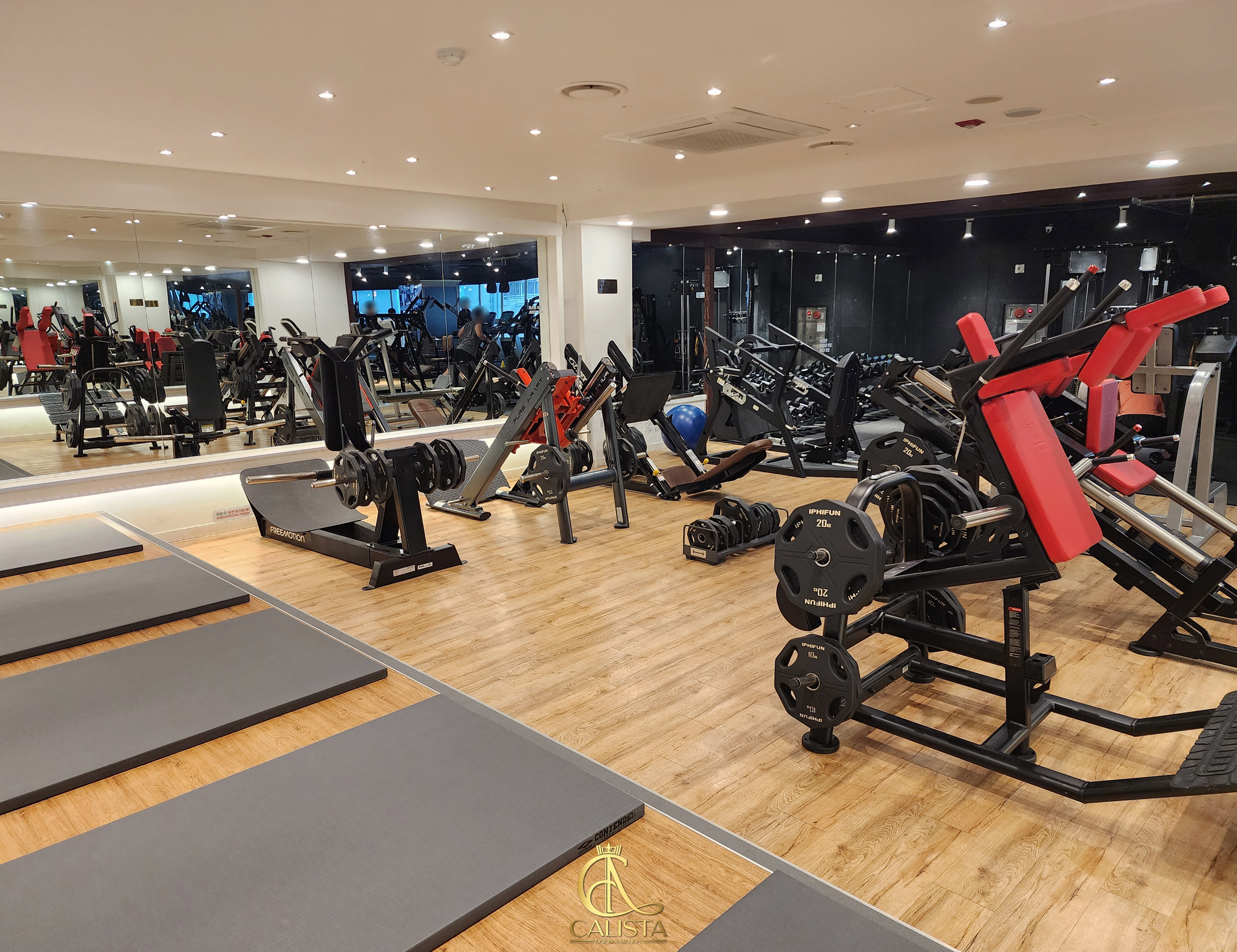 휘트니스 캐리스타 대표 이미지