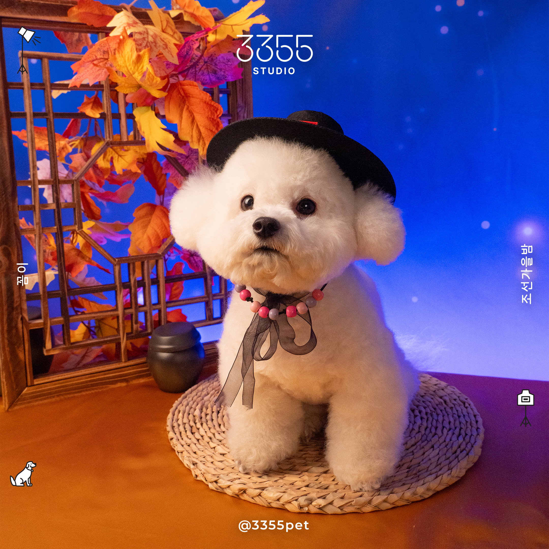 3355스튜디오 대표 이미지