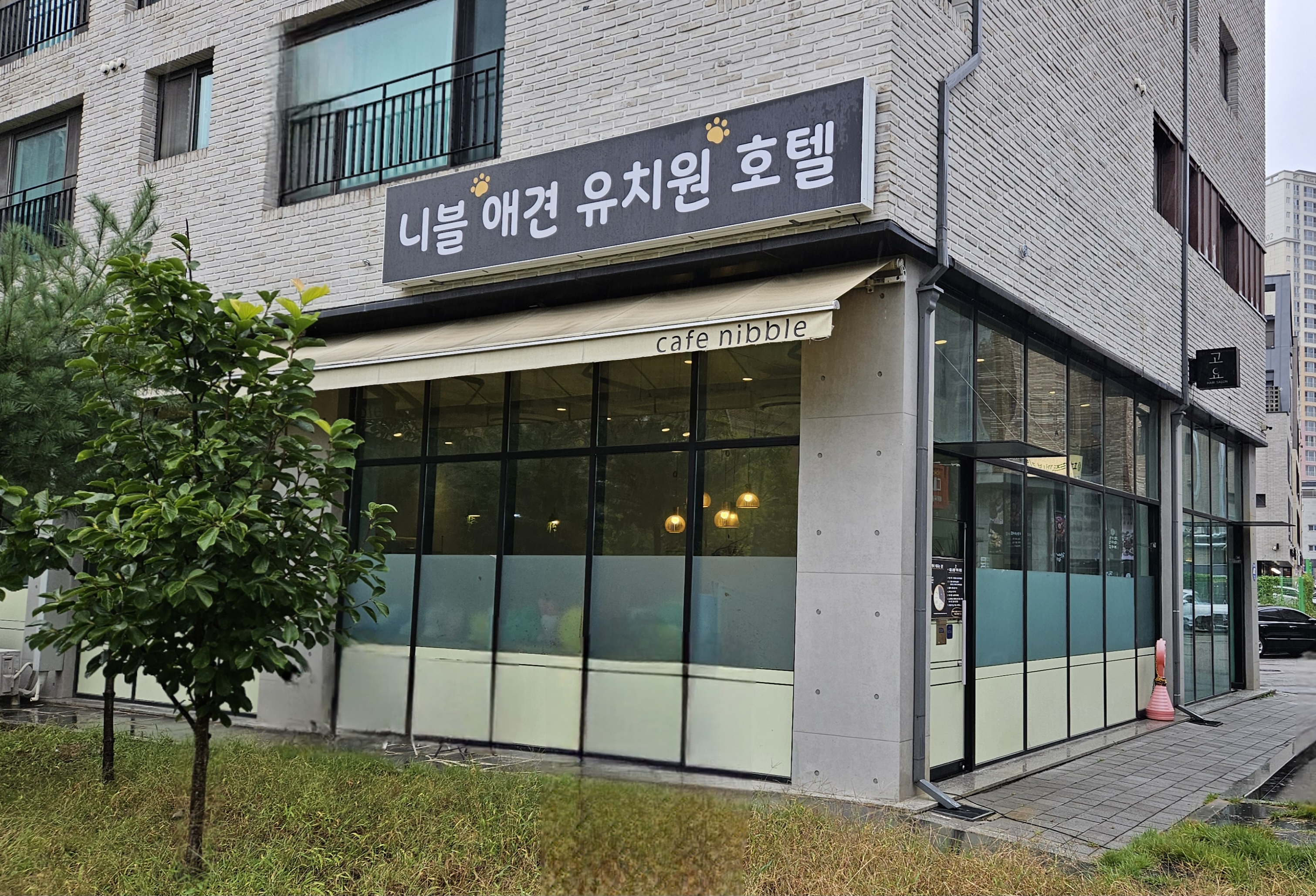 니블 강아지유치원 대표 이미지