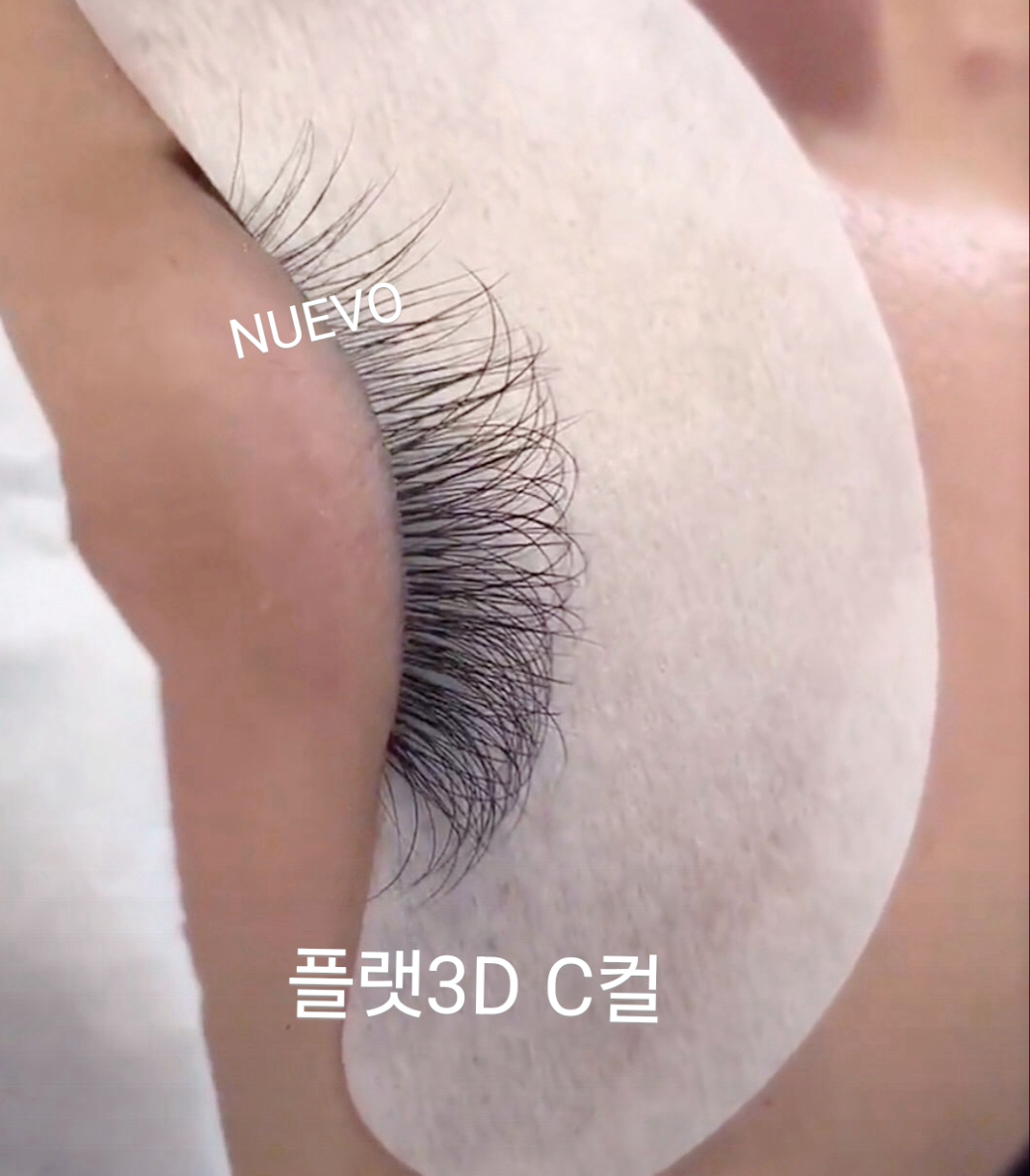 누에보 photo 7