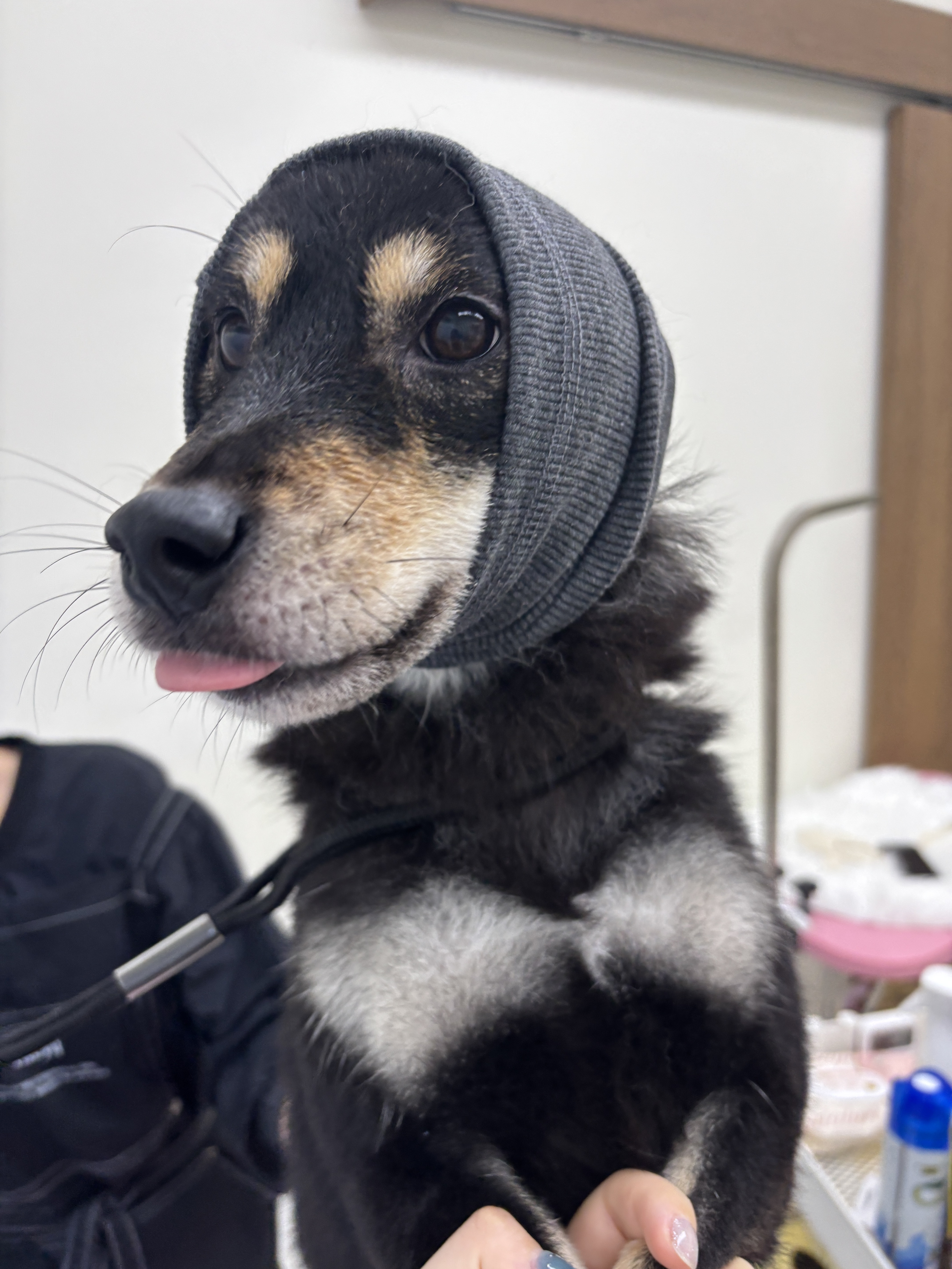 아르몽 대표 이미지