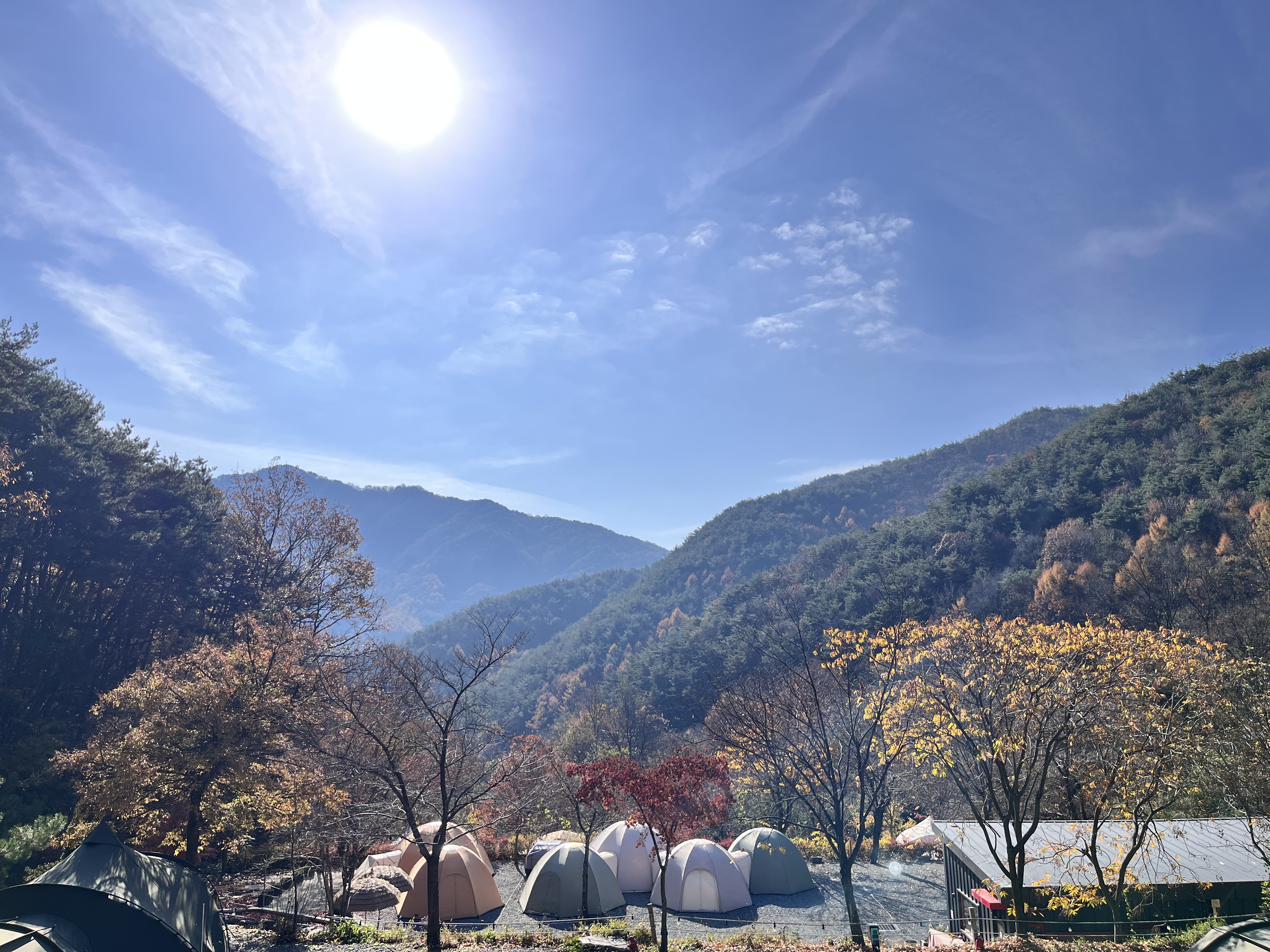 숲에안기다 반려동물 동반 애견카페