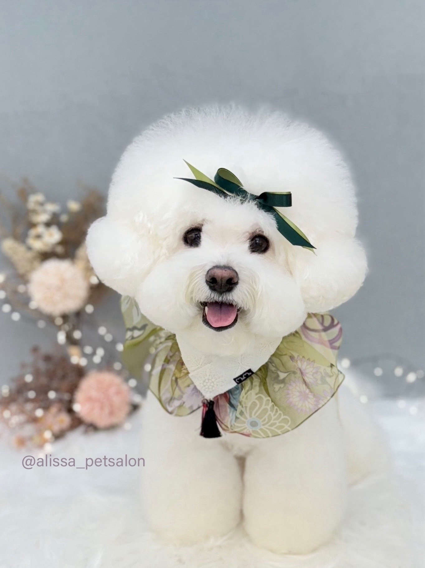 앨리사 대표 이미지