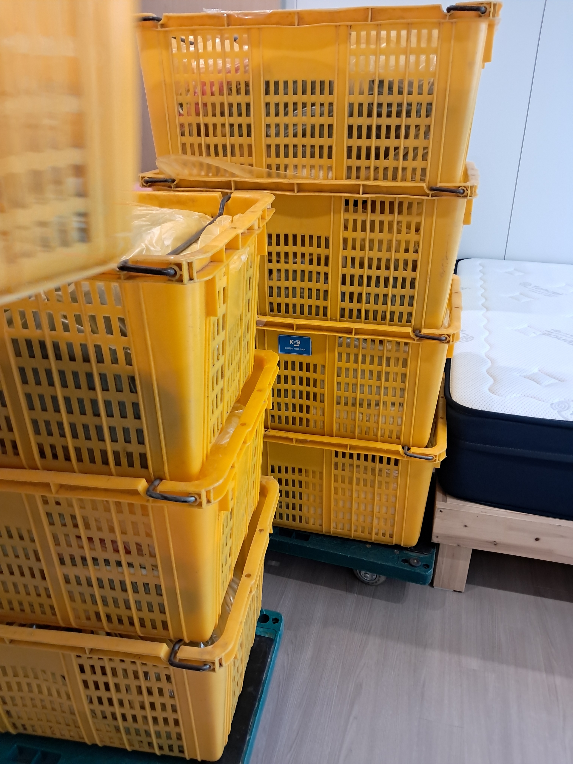 KGB이사 군산점 대표 이미지