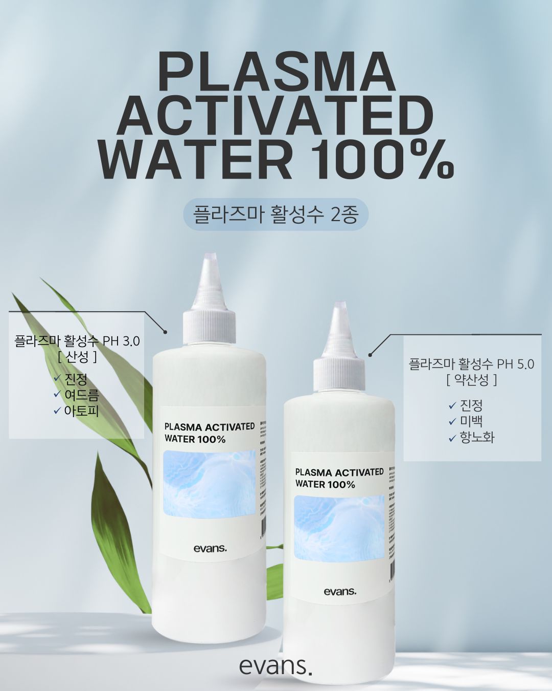 뷰티홀릭 양구점 대표 이미지