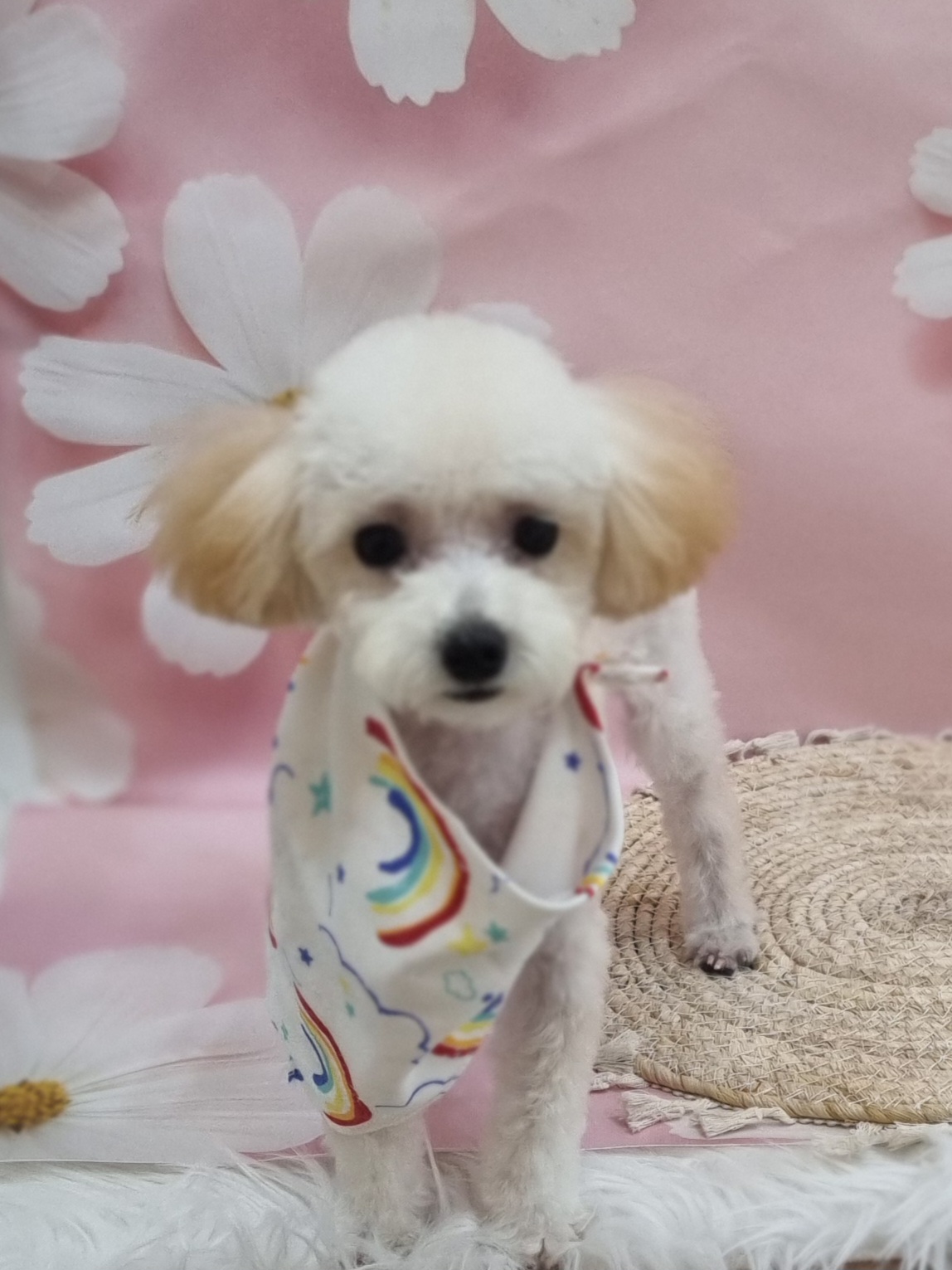 멍스마일 대표 이미지
