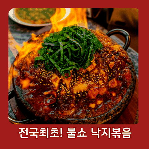 닭치고낙곱새
