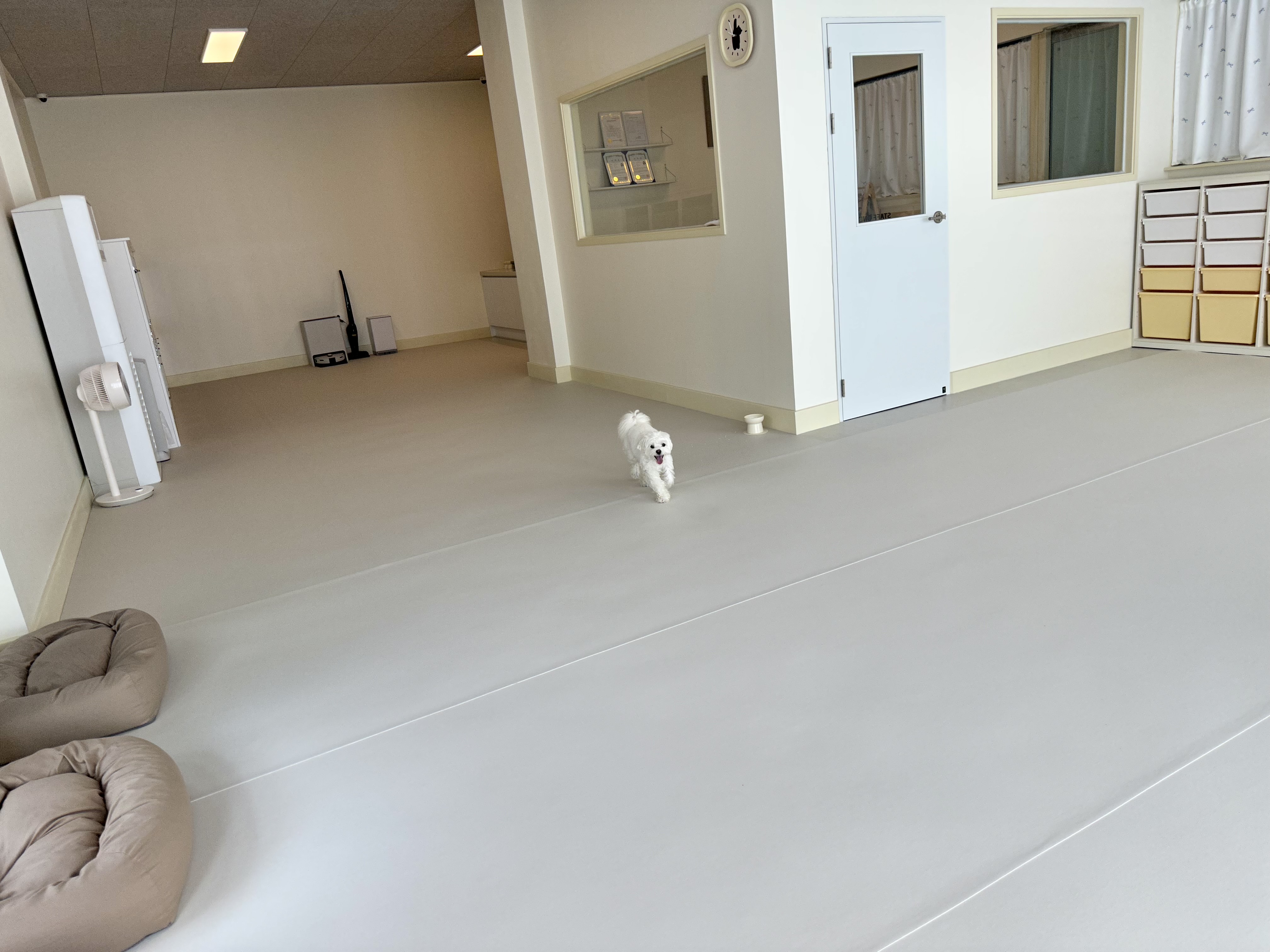 밀키멍 대표 이미지