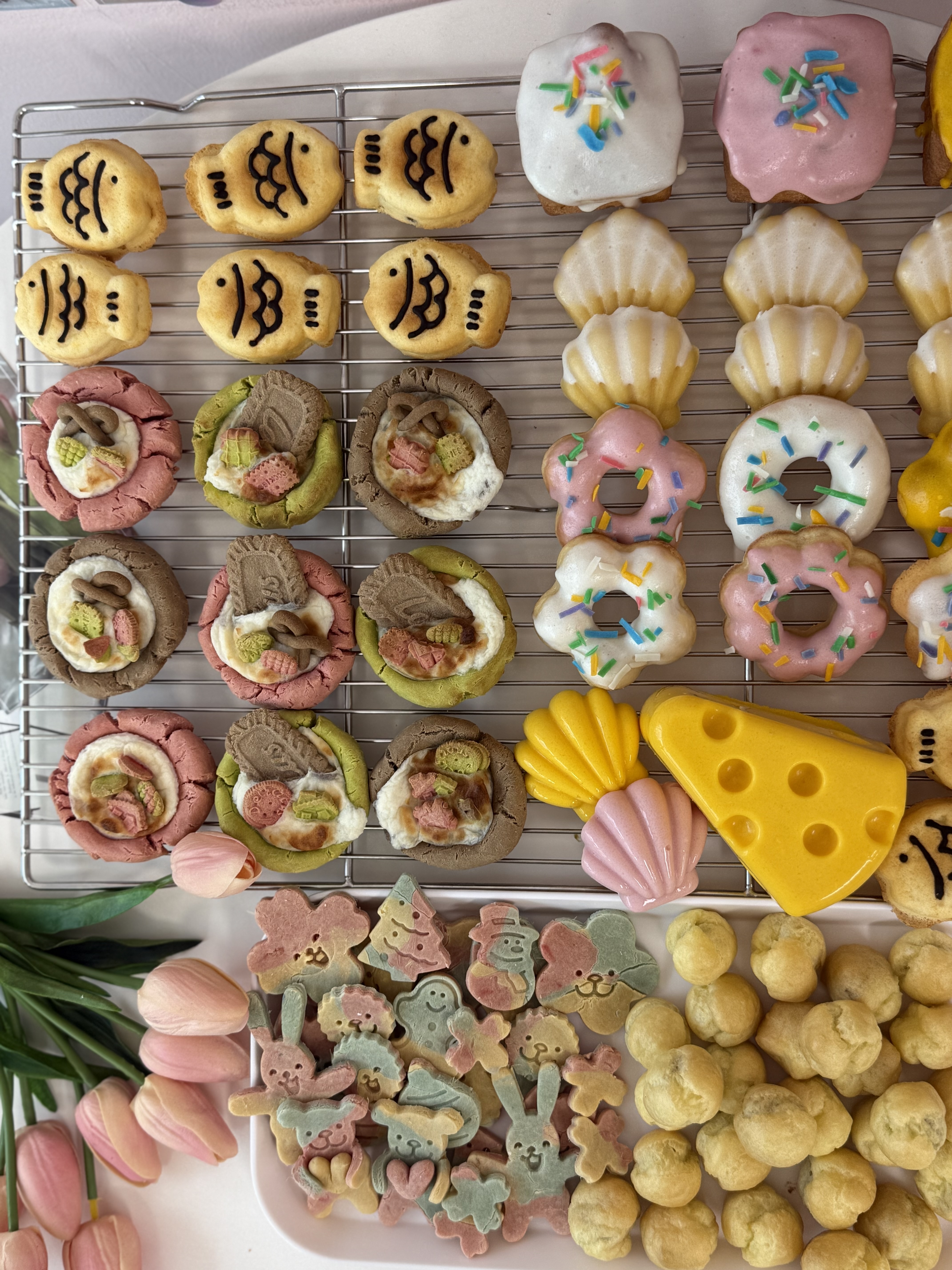 환장맛집 애견수제간식 반려동물 동반 애견카페