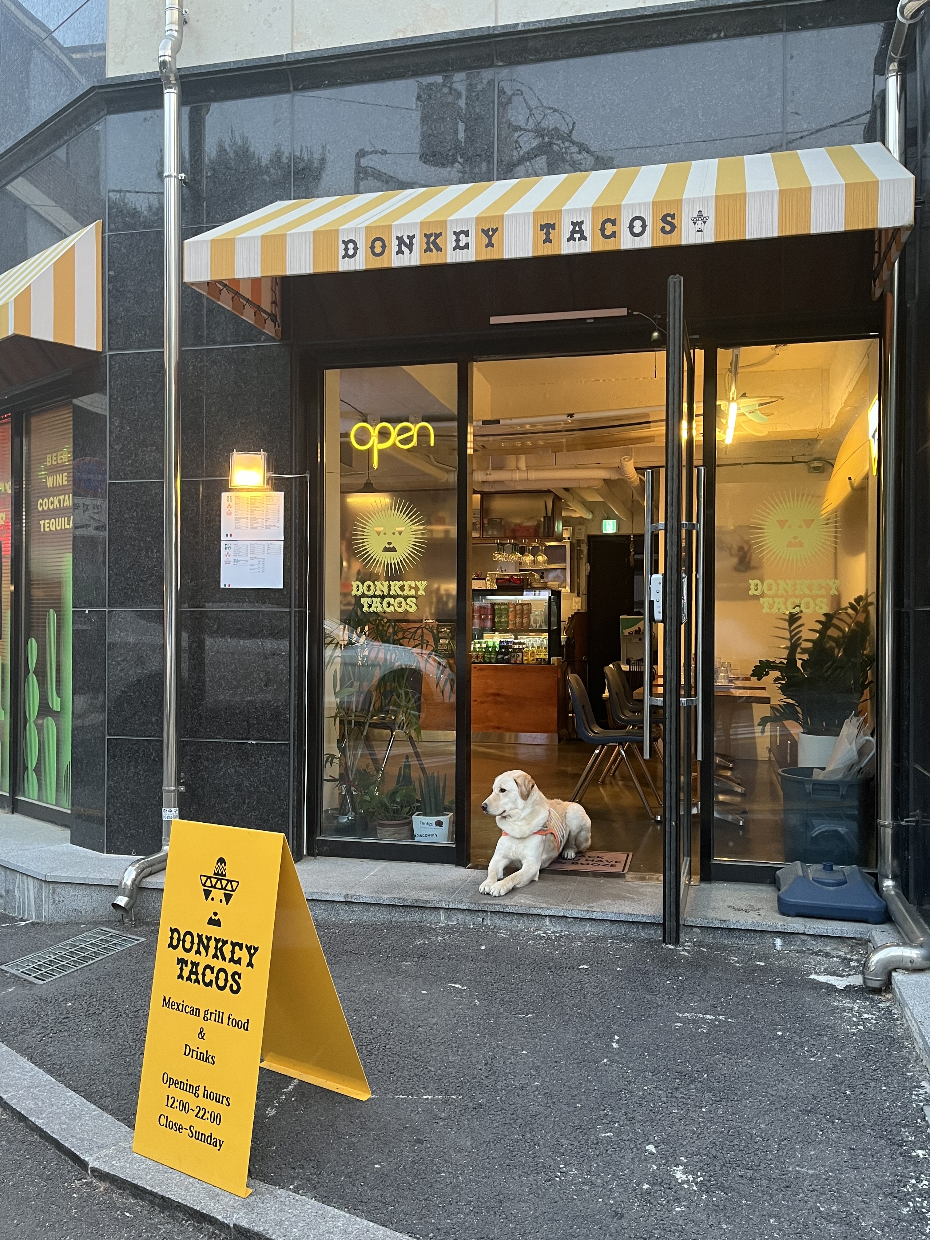 동키타코스 4