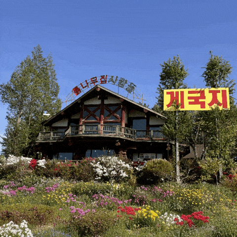 통나무집사람들