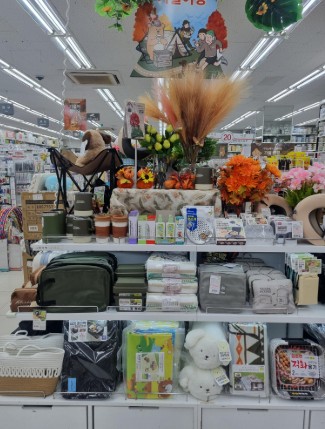 다이소 계룡점 대표 이미지