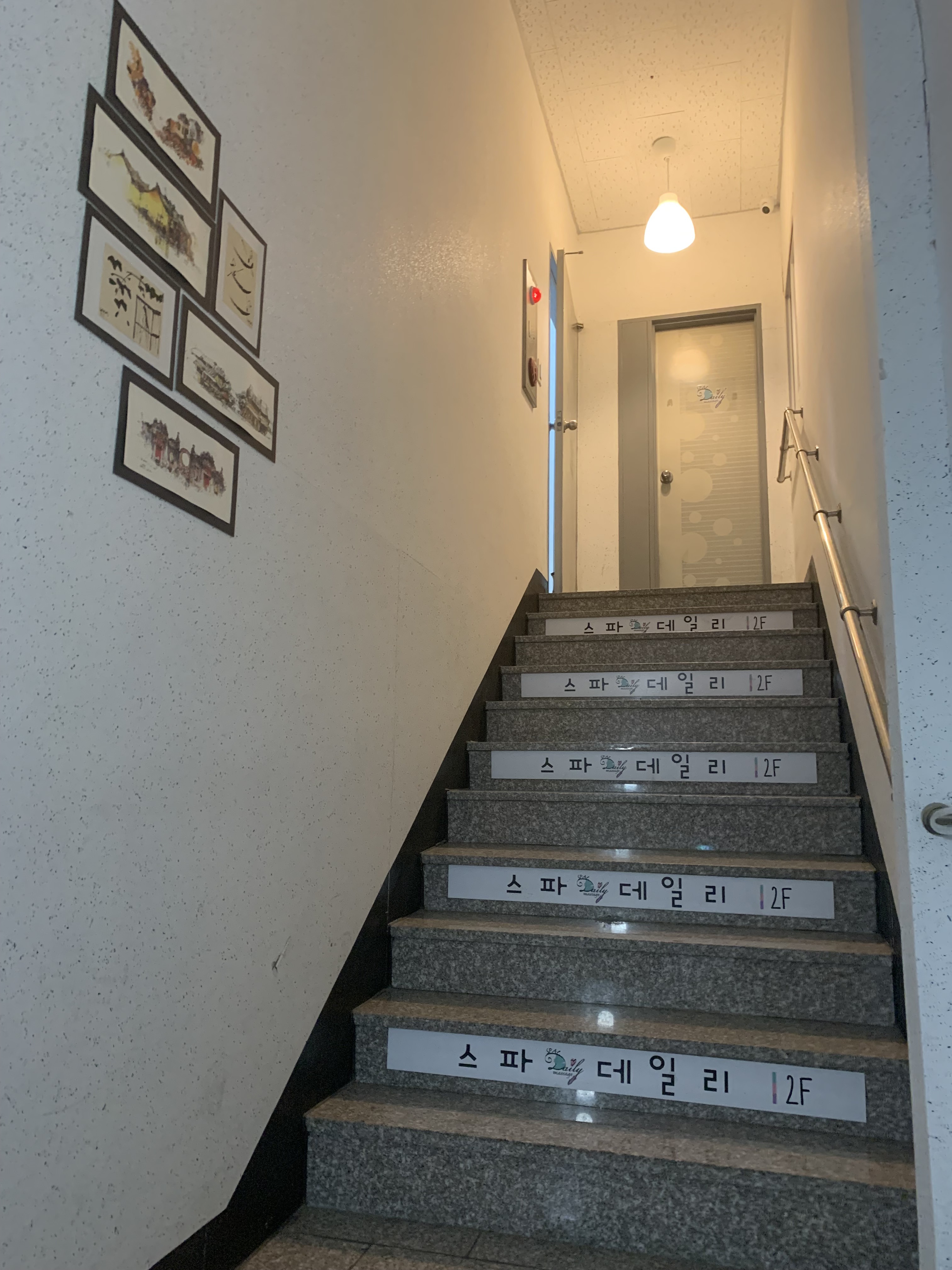 스파데일리 photo 5