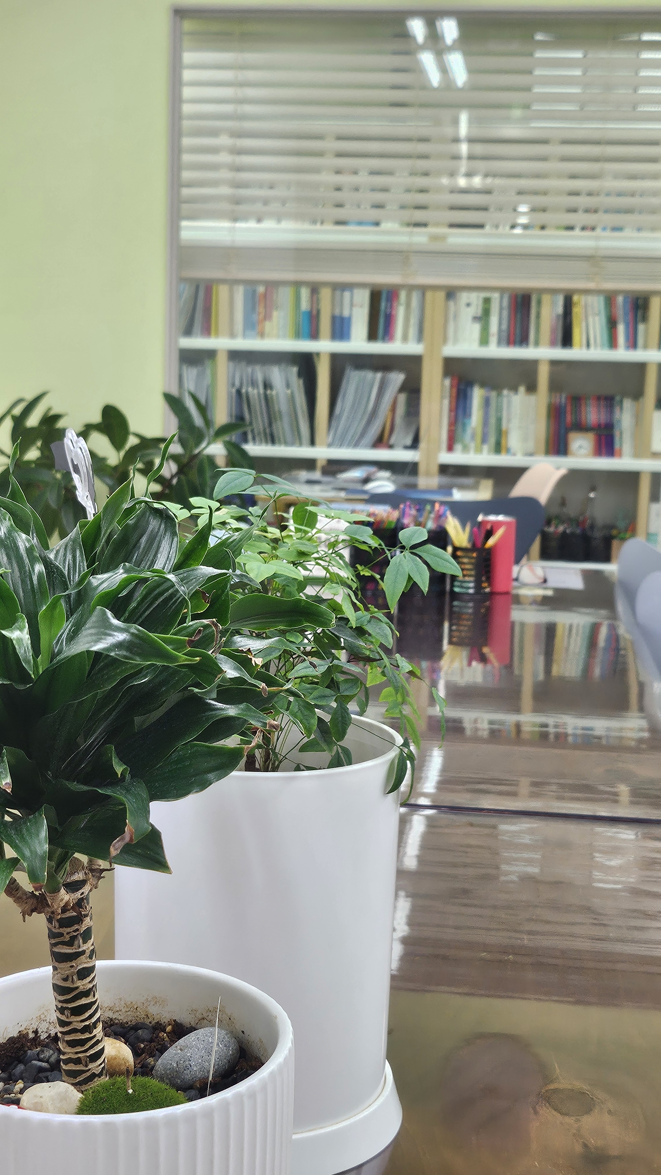 심리상담센터공감플러스 대표 이미지