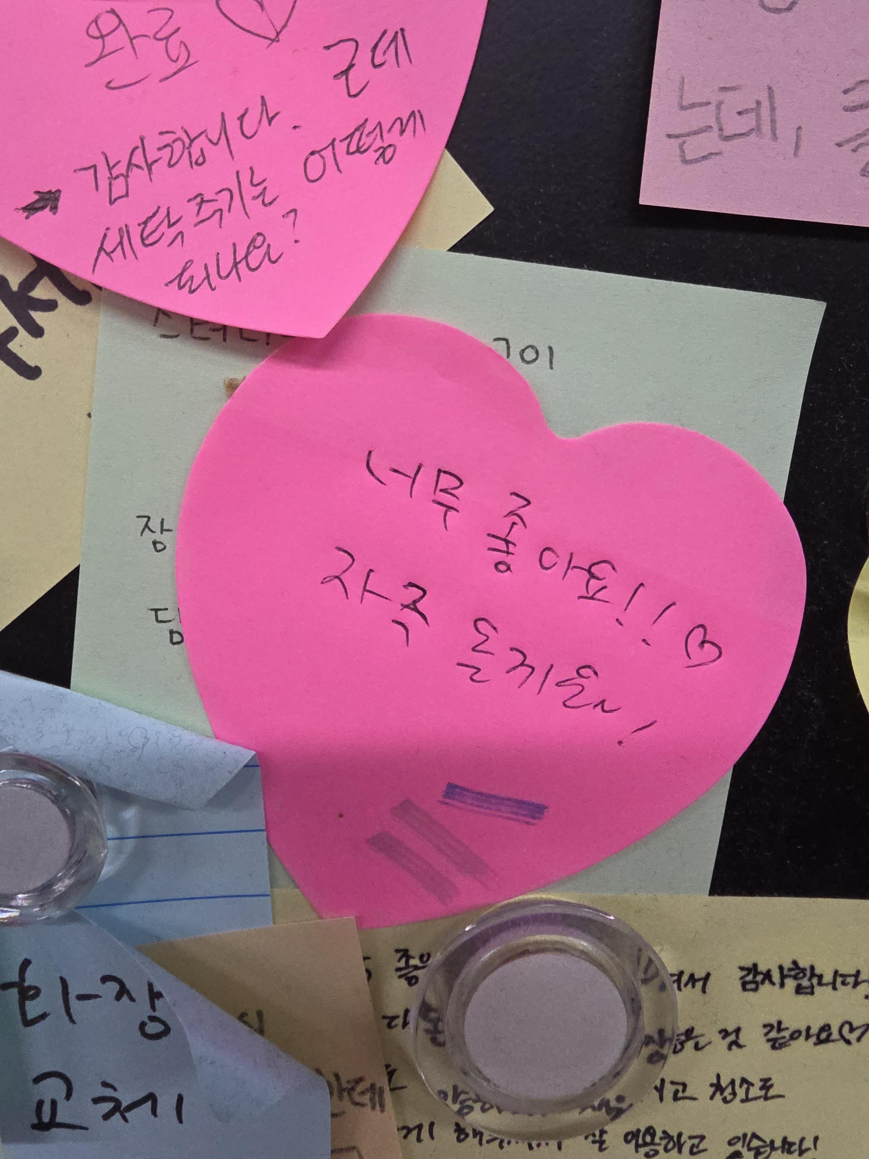 업체사진