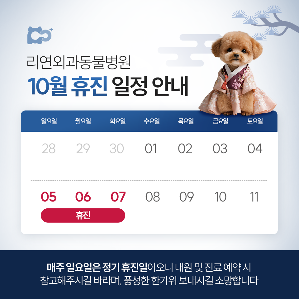 리연외과동물병원 대표 이미지