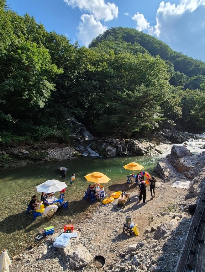 사진 1