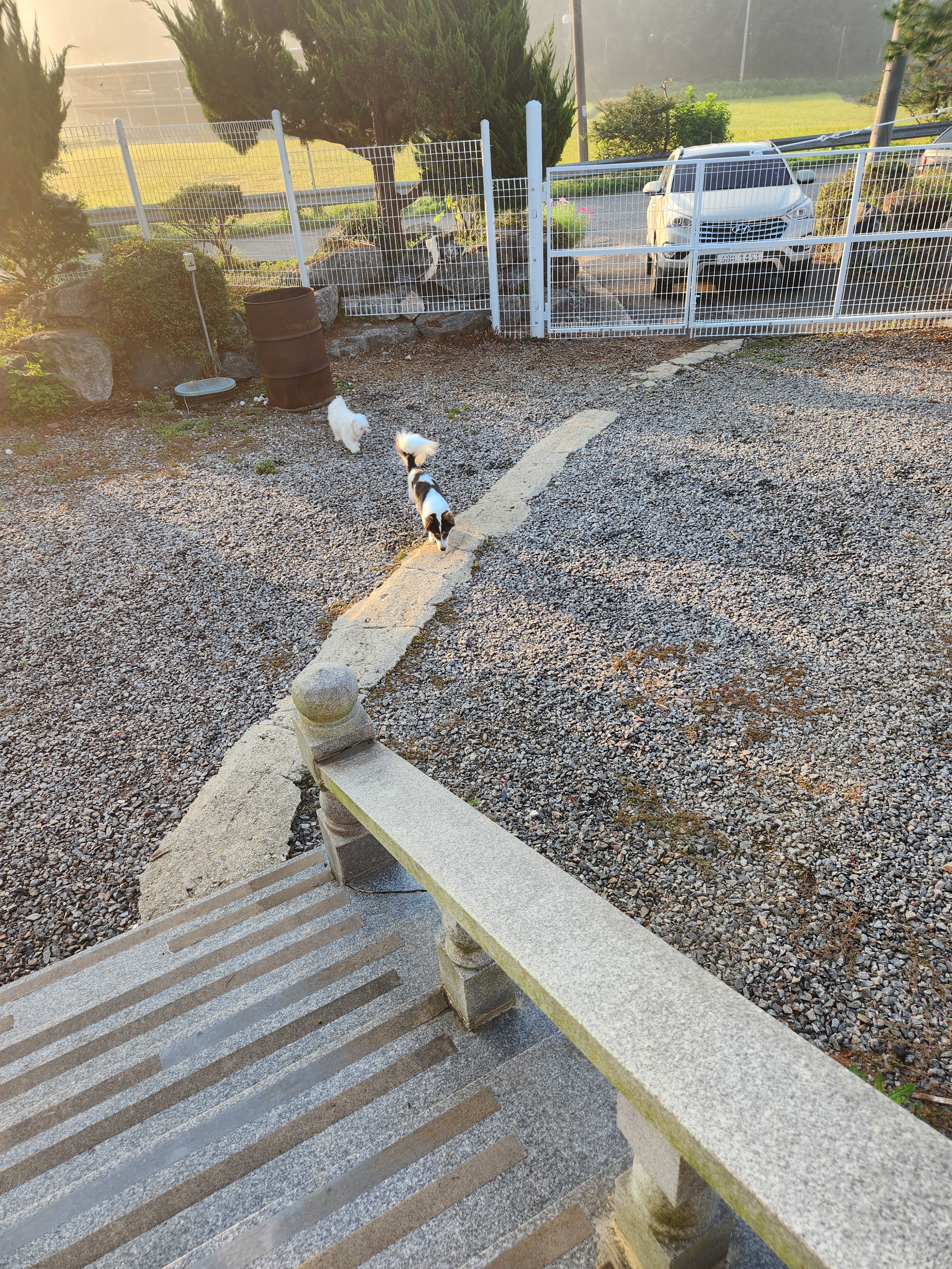 댕댕이산장 대표 이미지