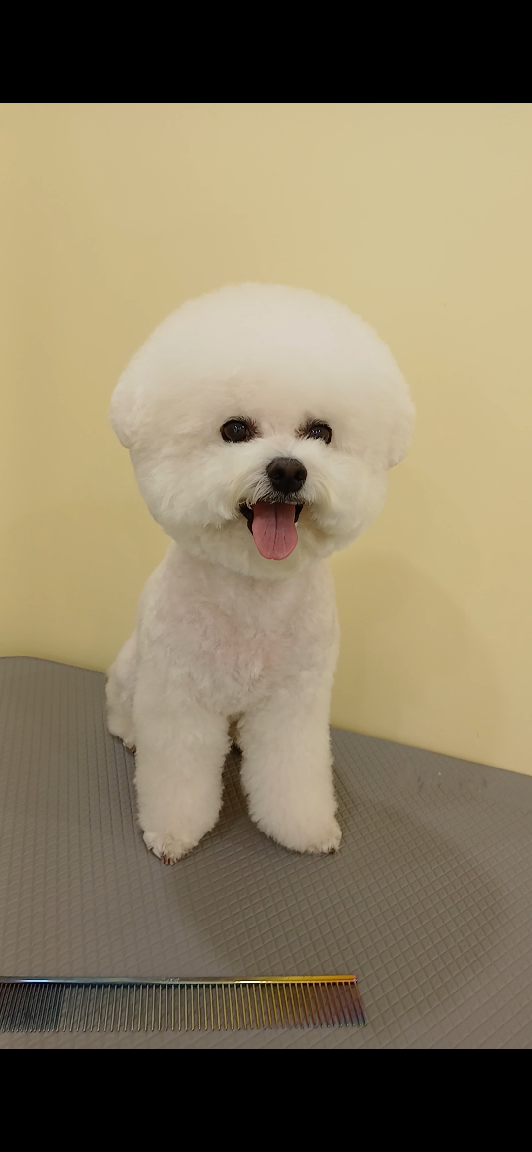 청담슈슈 대표 이미지