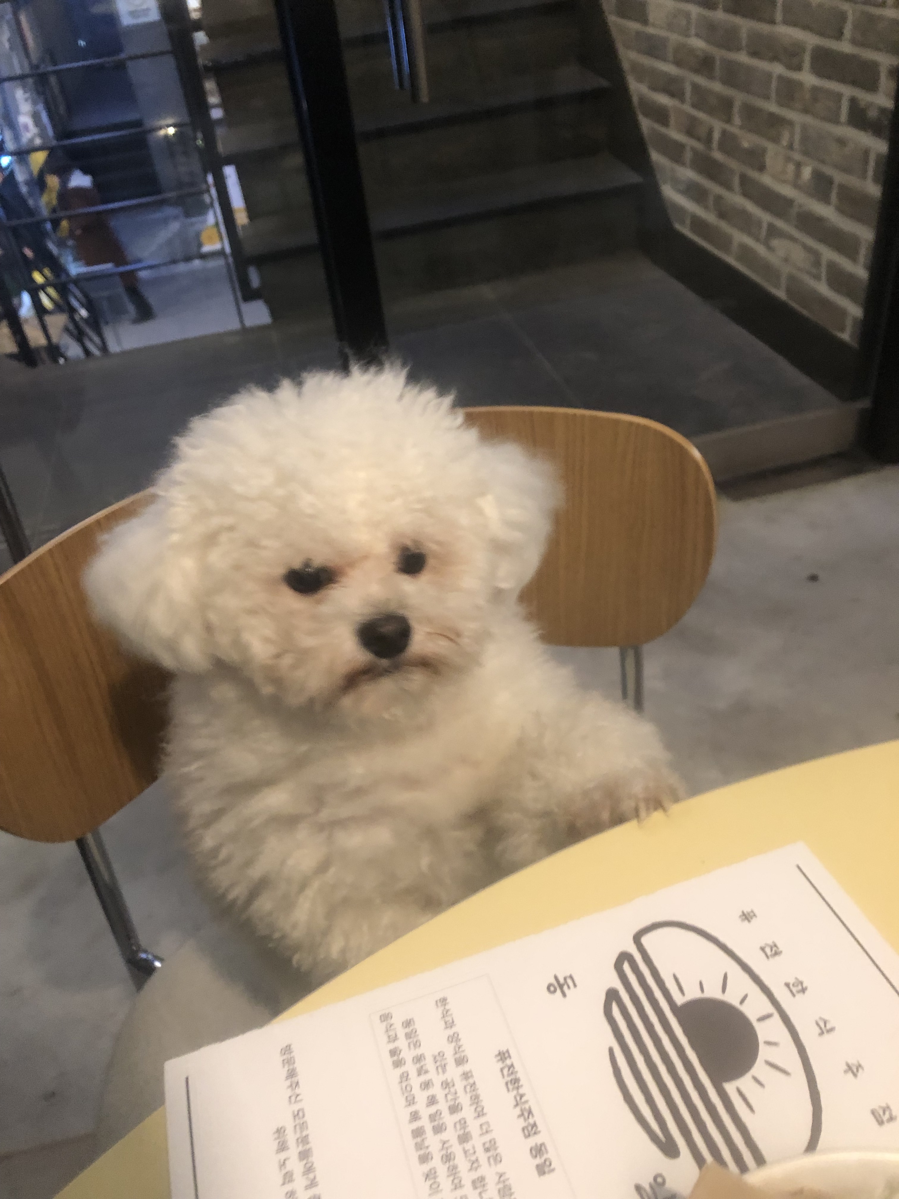 동일 대표 이미지
