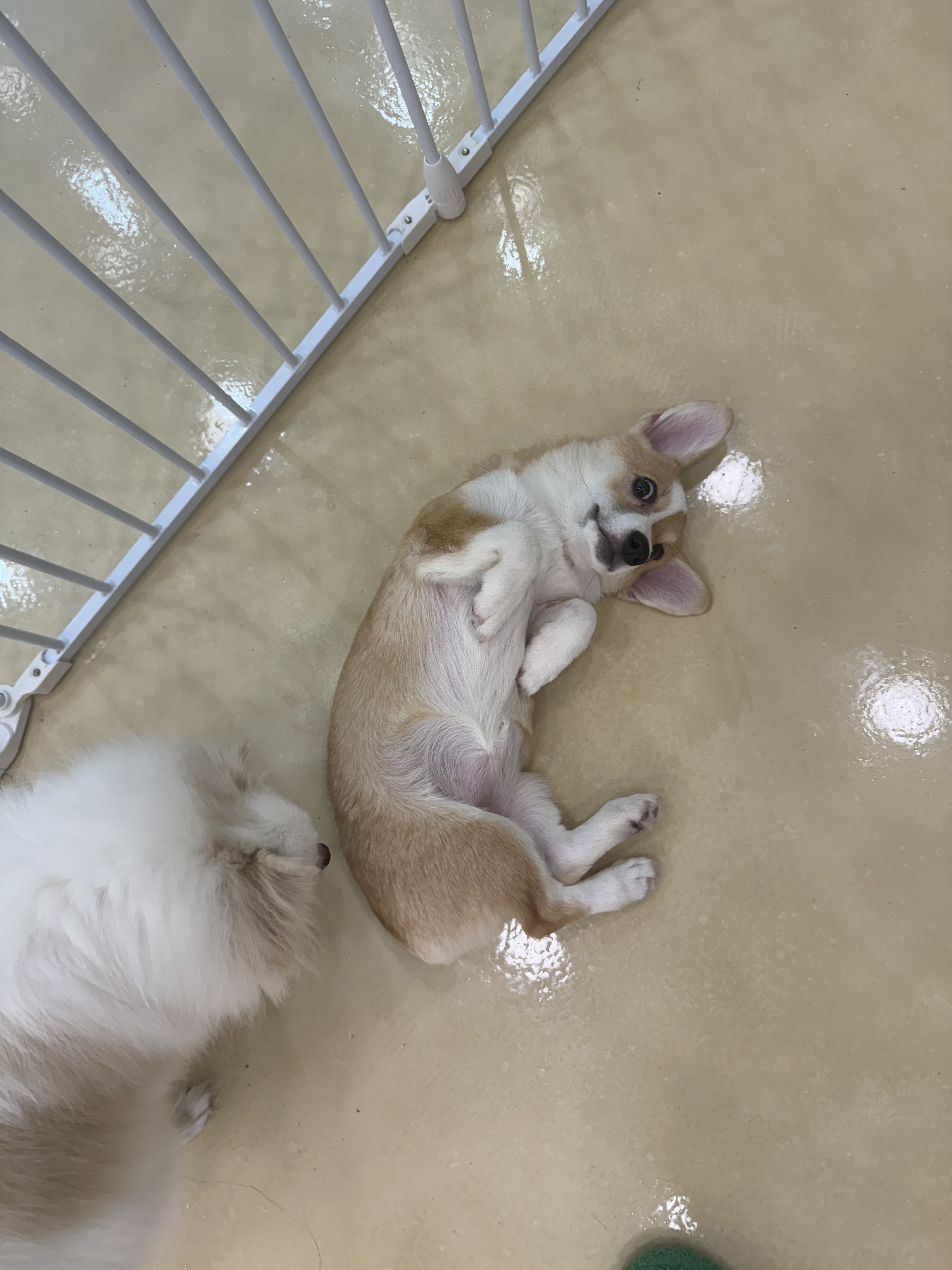 멍스냅 대표 이미지