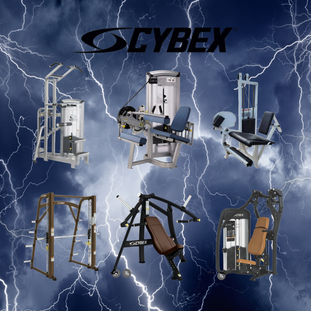 비기짐 대표 이미지