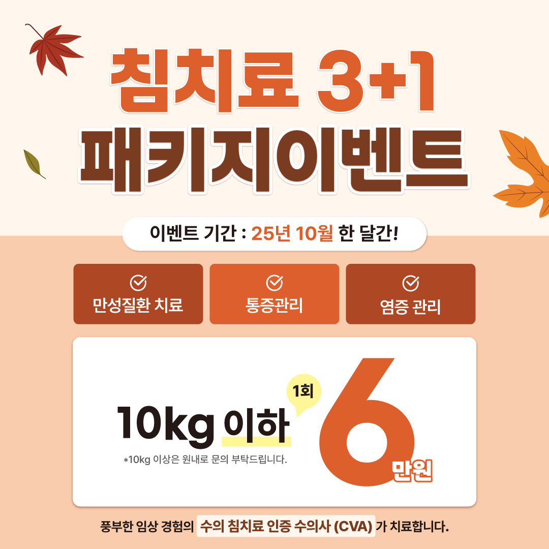 클리어동물병원 대표 이미지