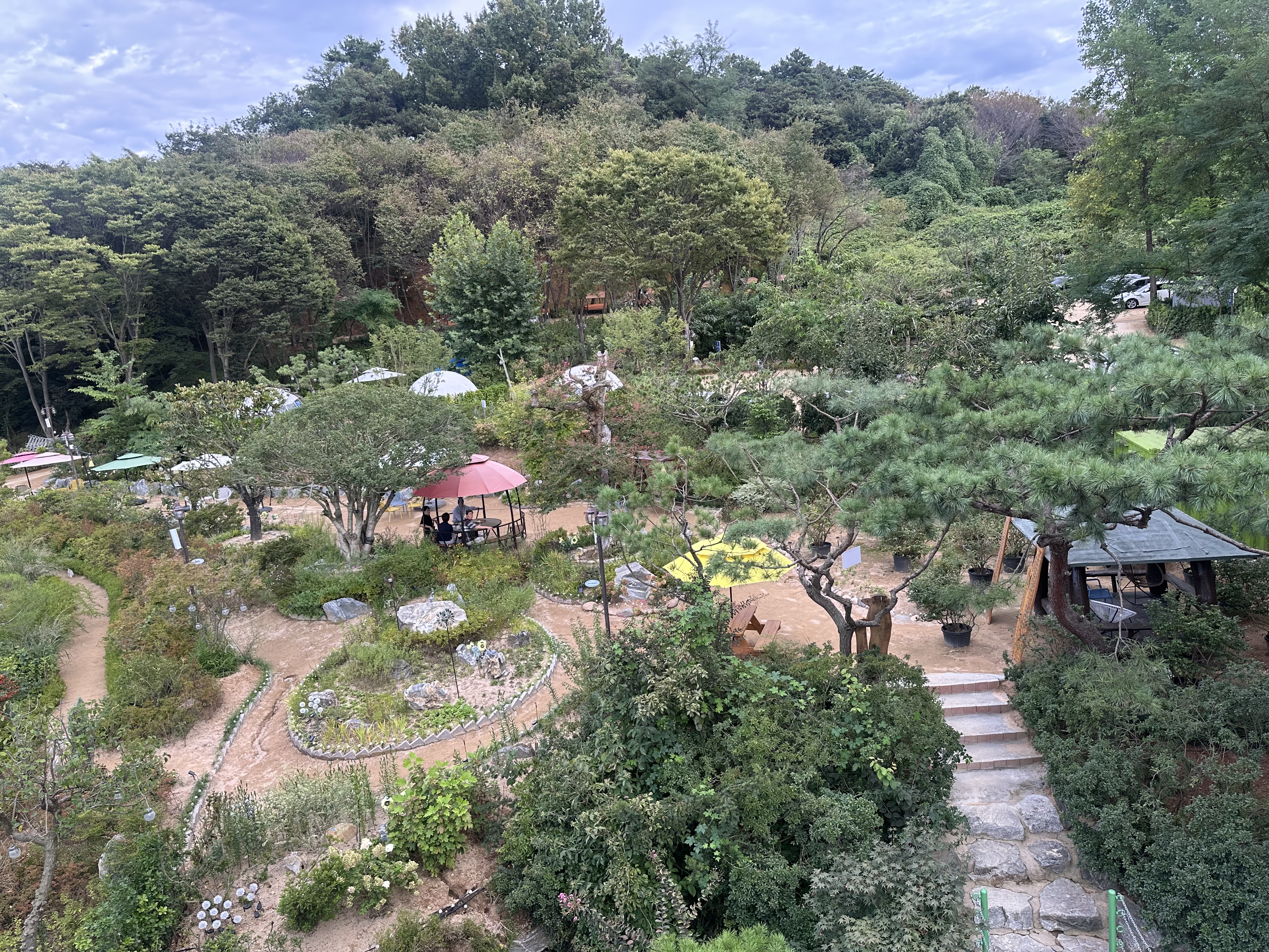포시즌베이커리카페 반려동물 동반 애견카페