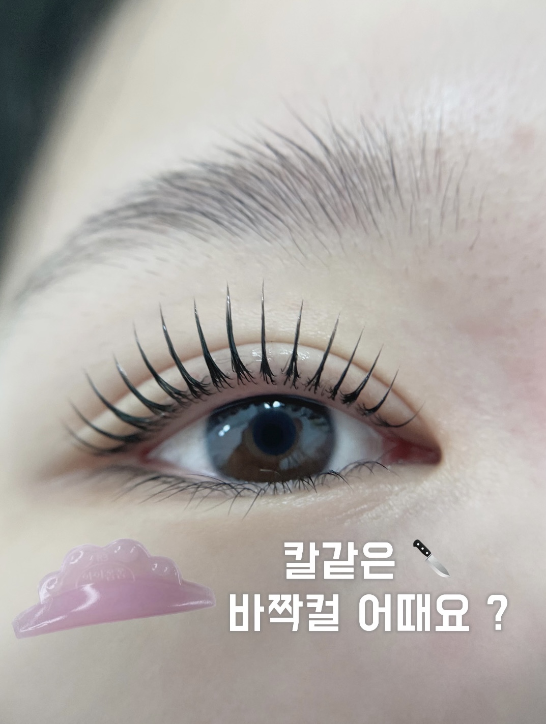 케일리라인 대표 이미지