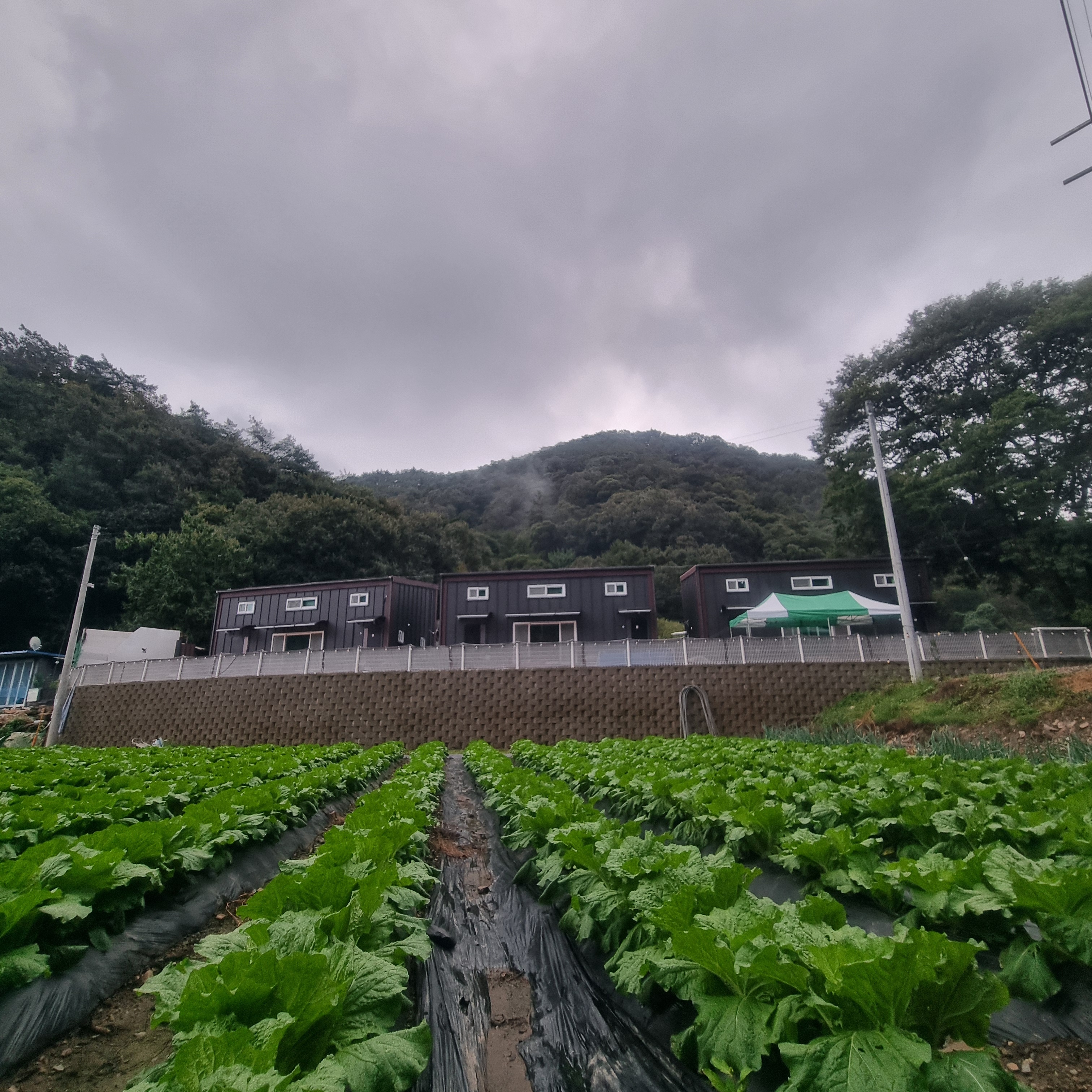 크램하우스펜션 6
