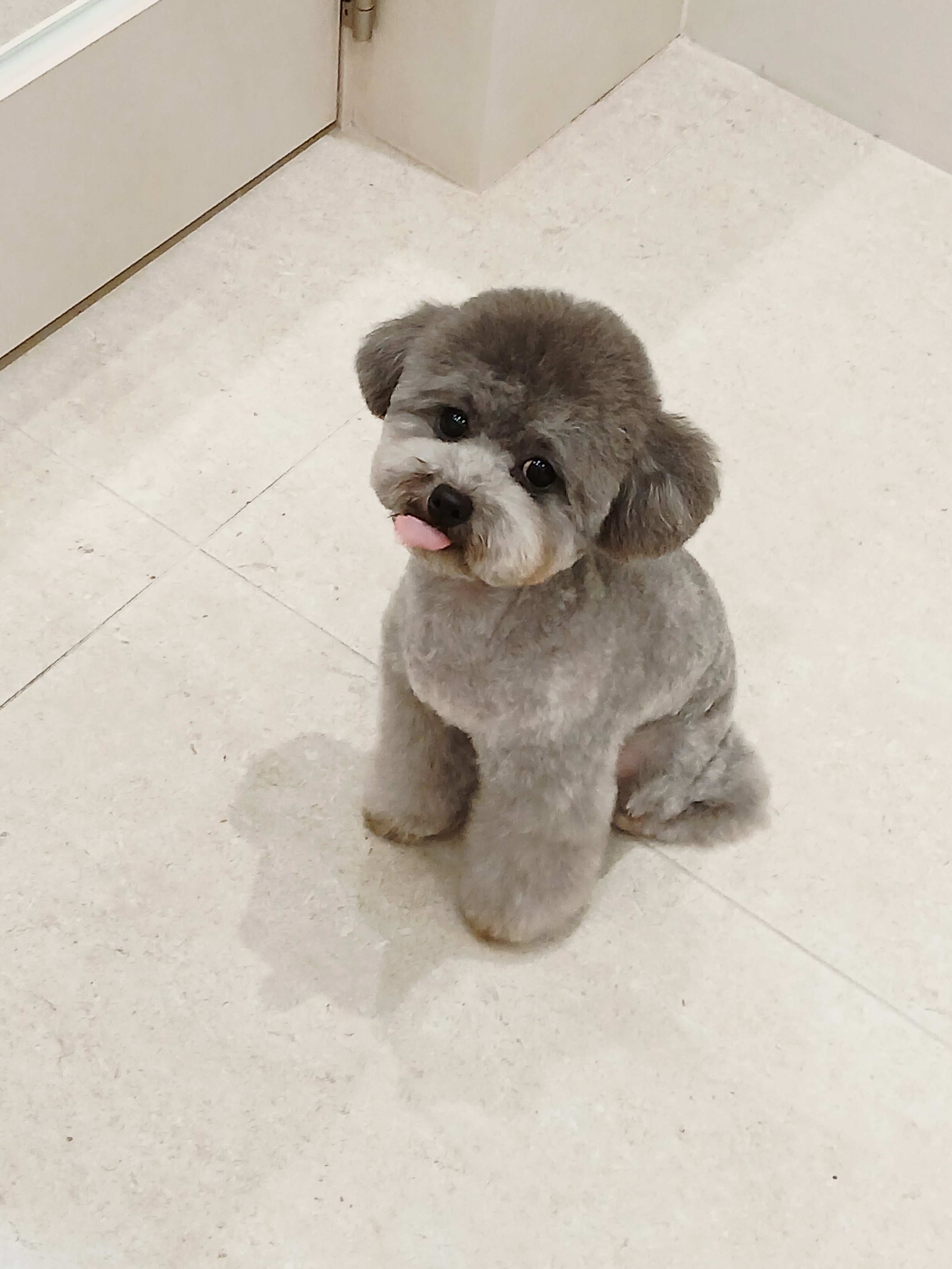 까만콩쌀알 대표 이미지