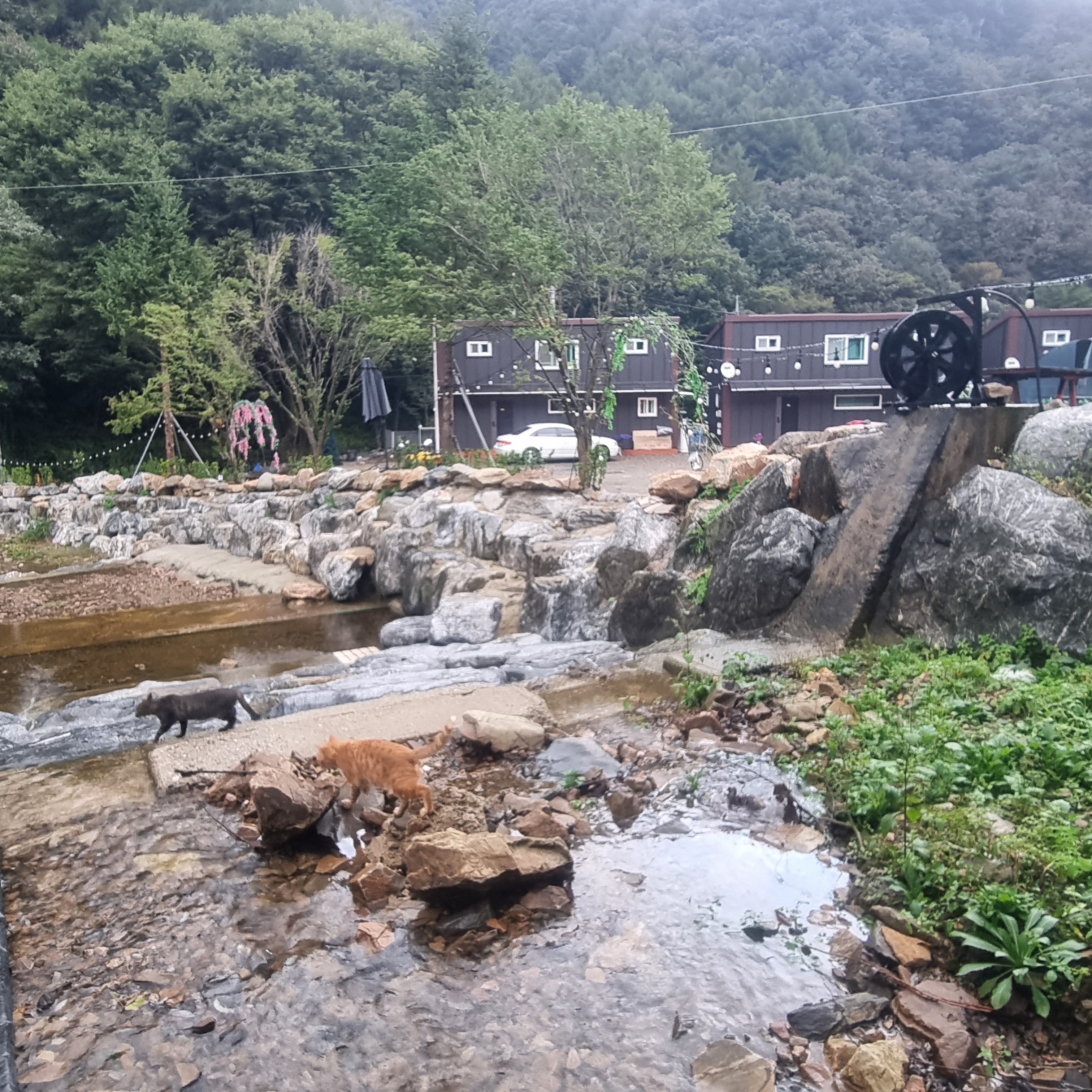 크램하우스펜션 5