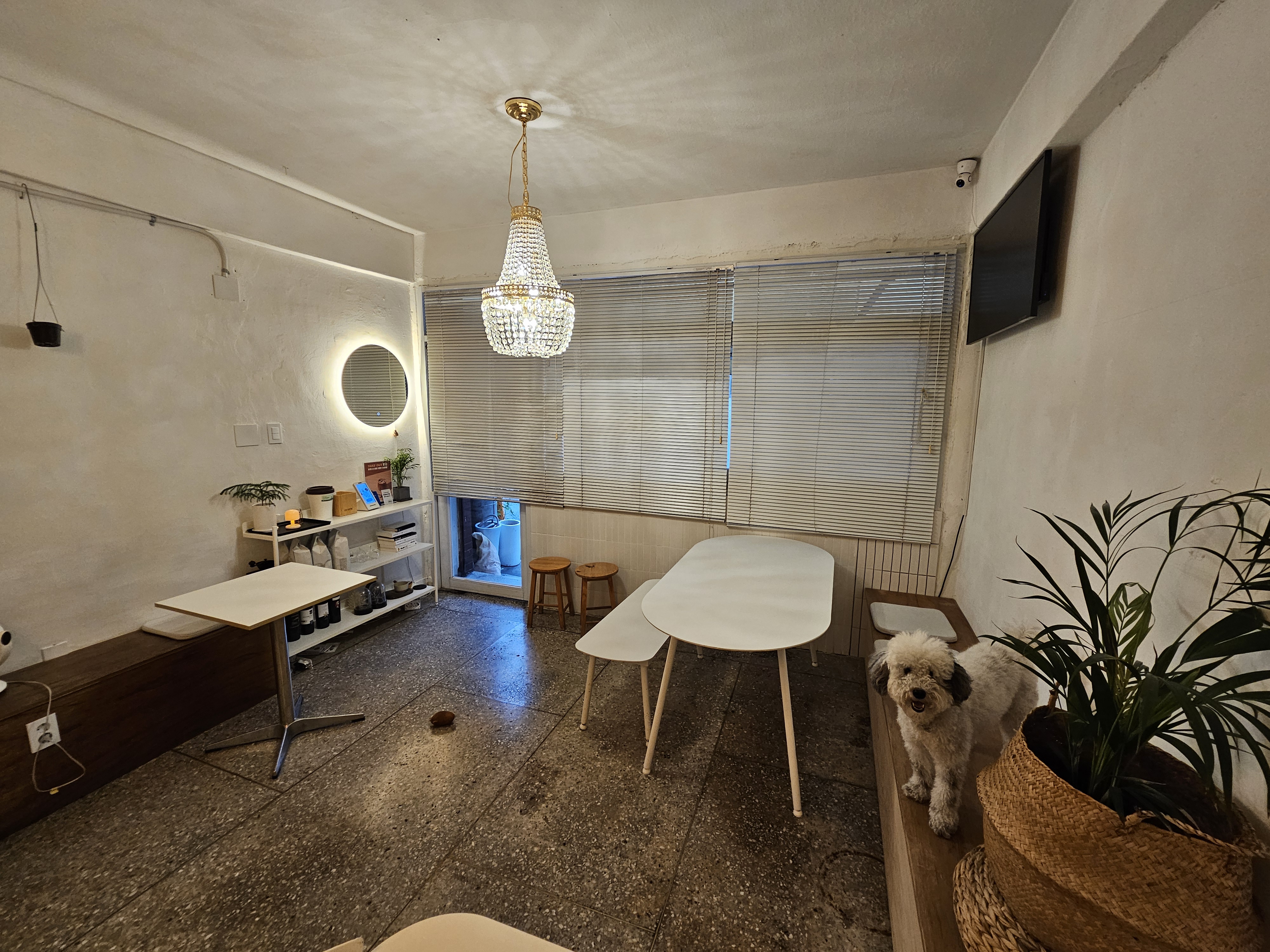 빛톤 대표 이미지