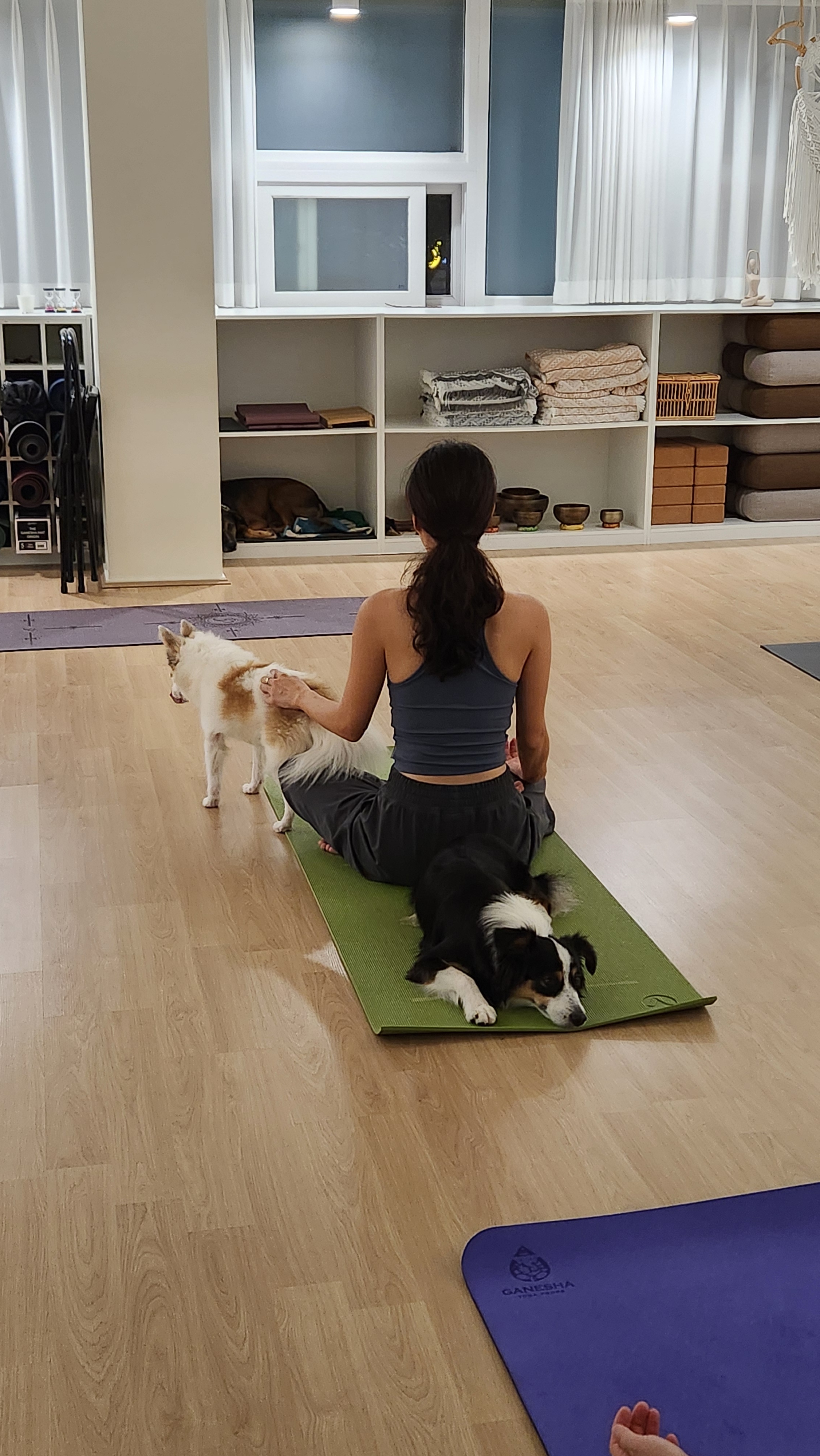하나요가 수련실 및 강아지 이미지