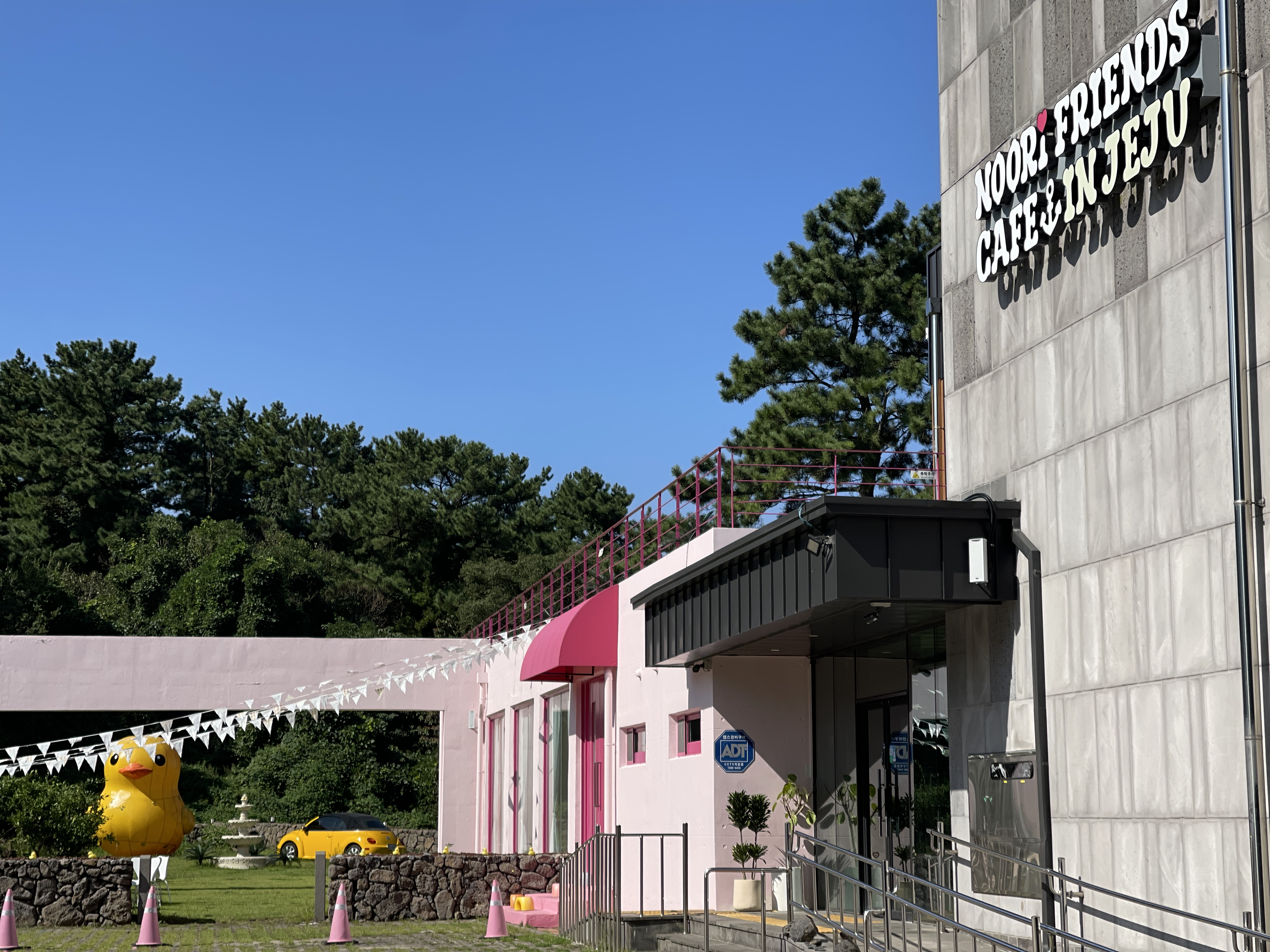 누리프렌즈카페인제주